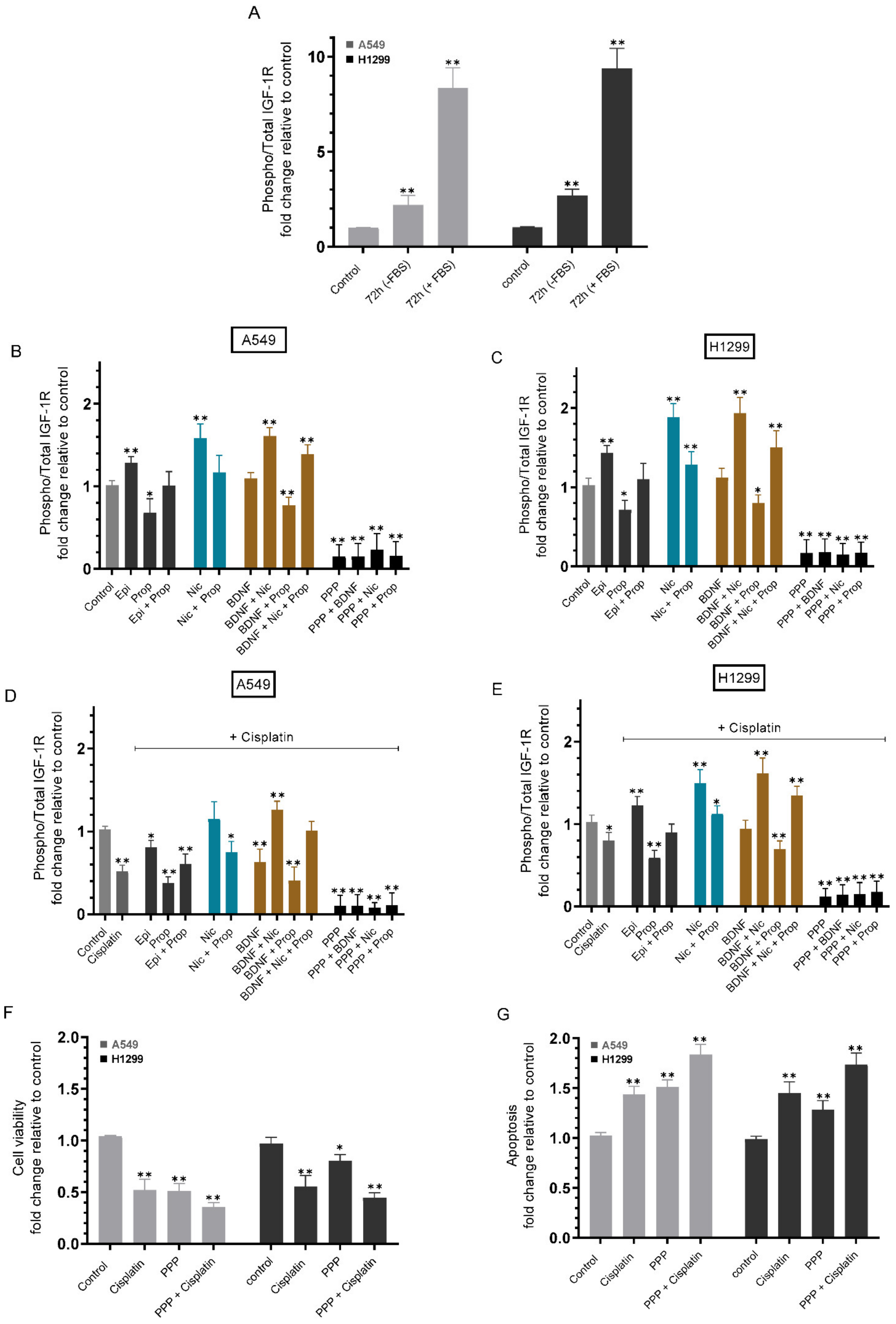 Ijms 23 12829 g004 Ijms 23 12829 g004