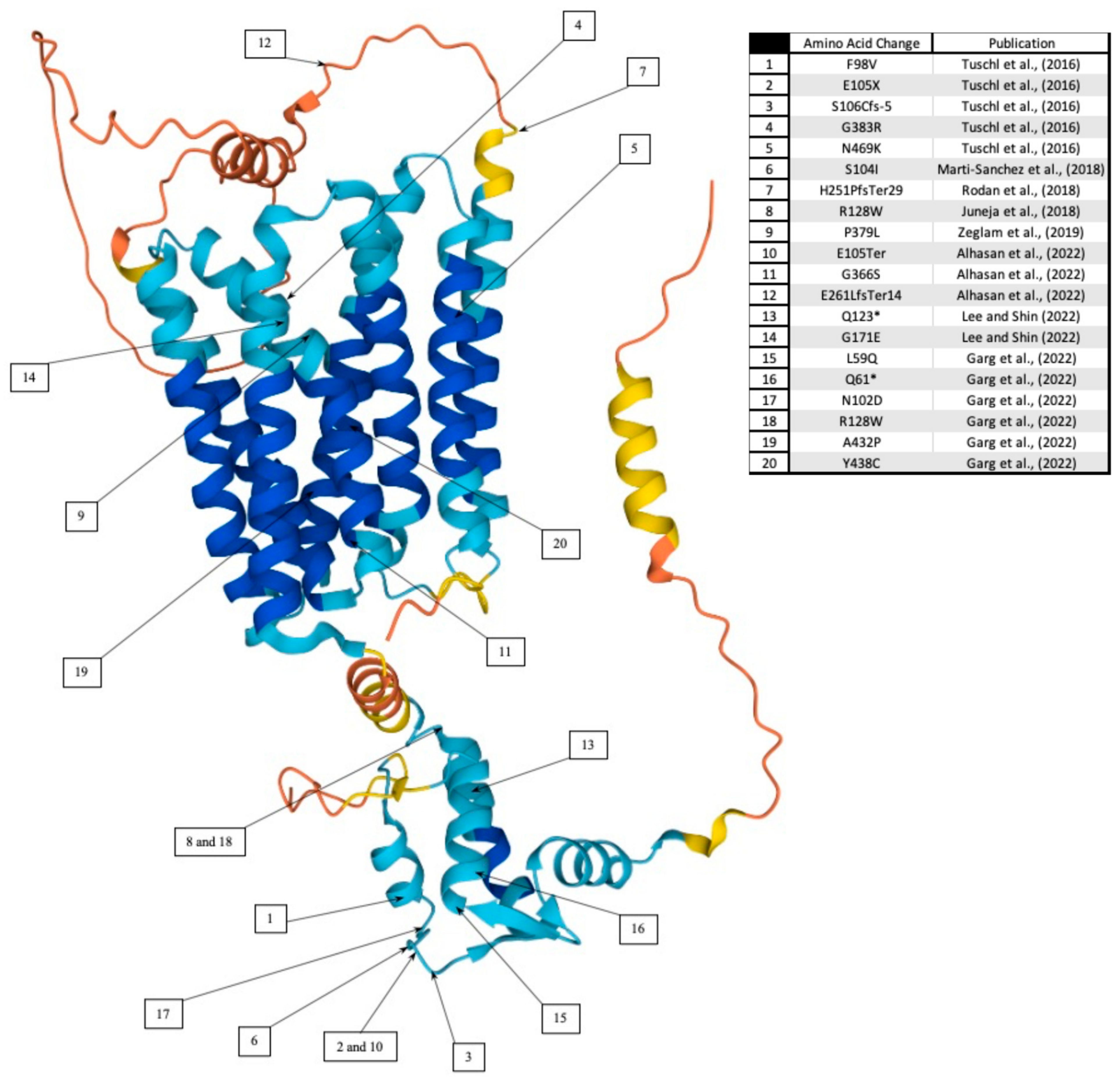 Ijms 23 12833 g001 Ijms 23 12833 g001