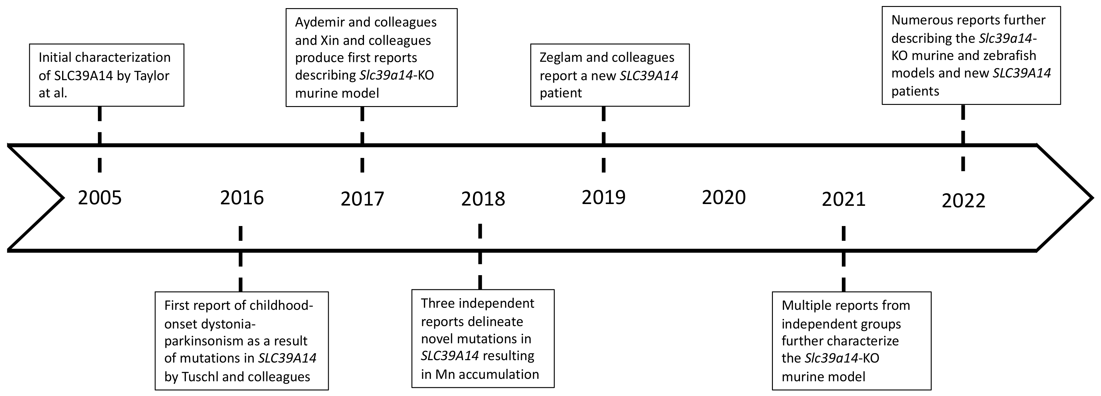 Ijms 23 12833 g002 Ijms 23 12833 g002