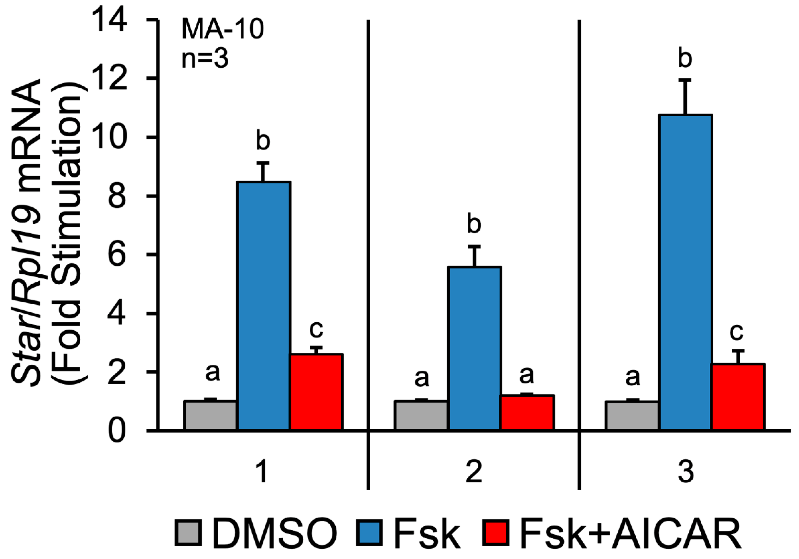 Ijms 23 12846 g001 Ijms 23 12846 g001