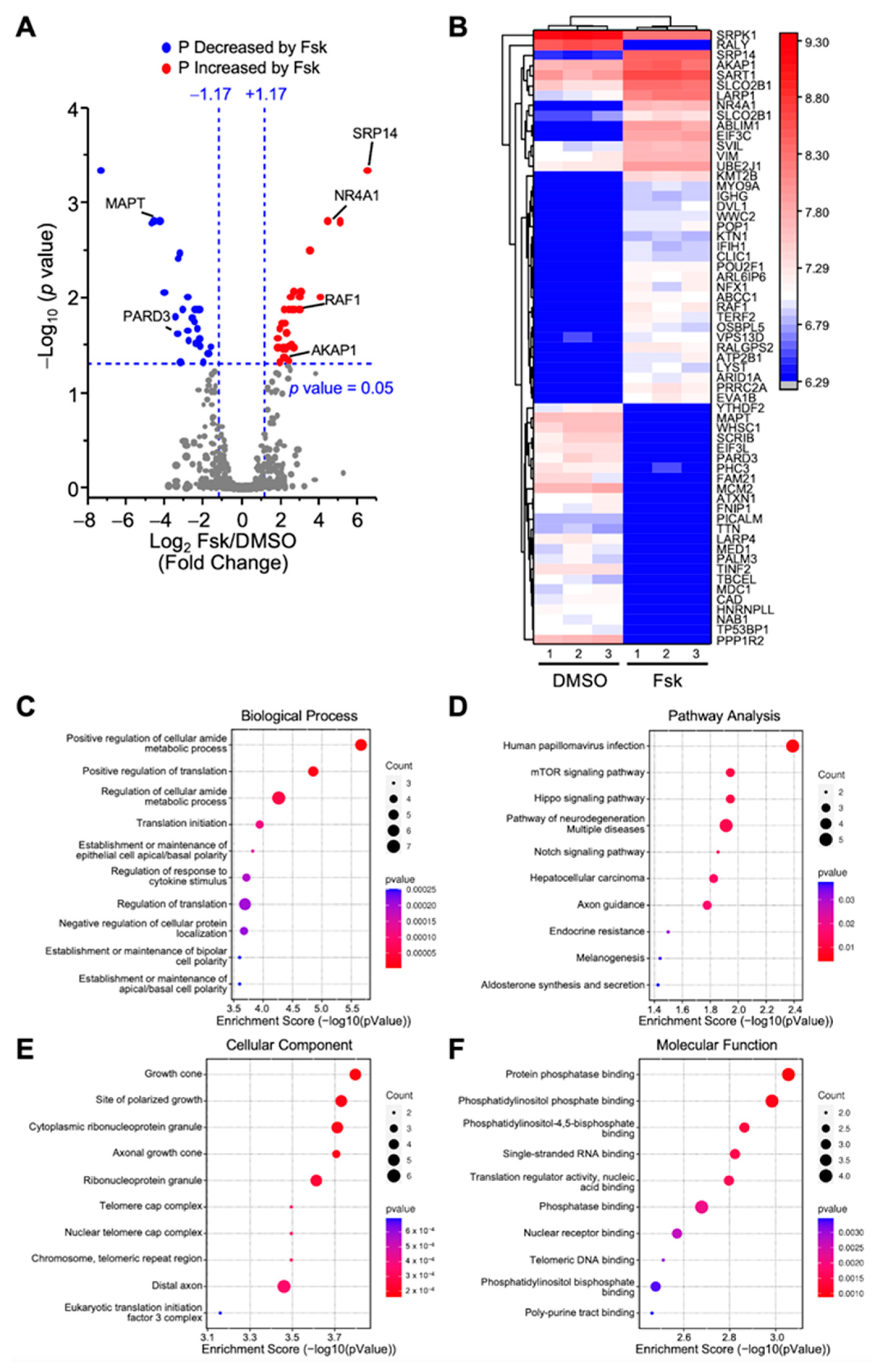 Ijms 23 12846 g002 Ijms 23 12846 g002