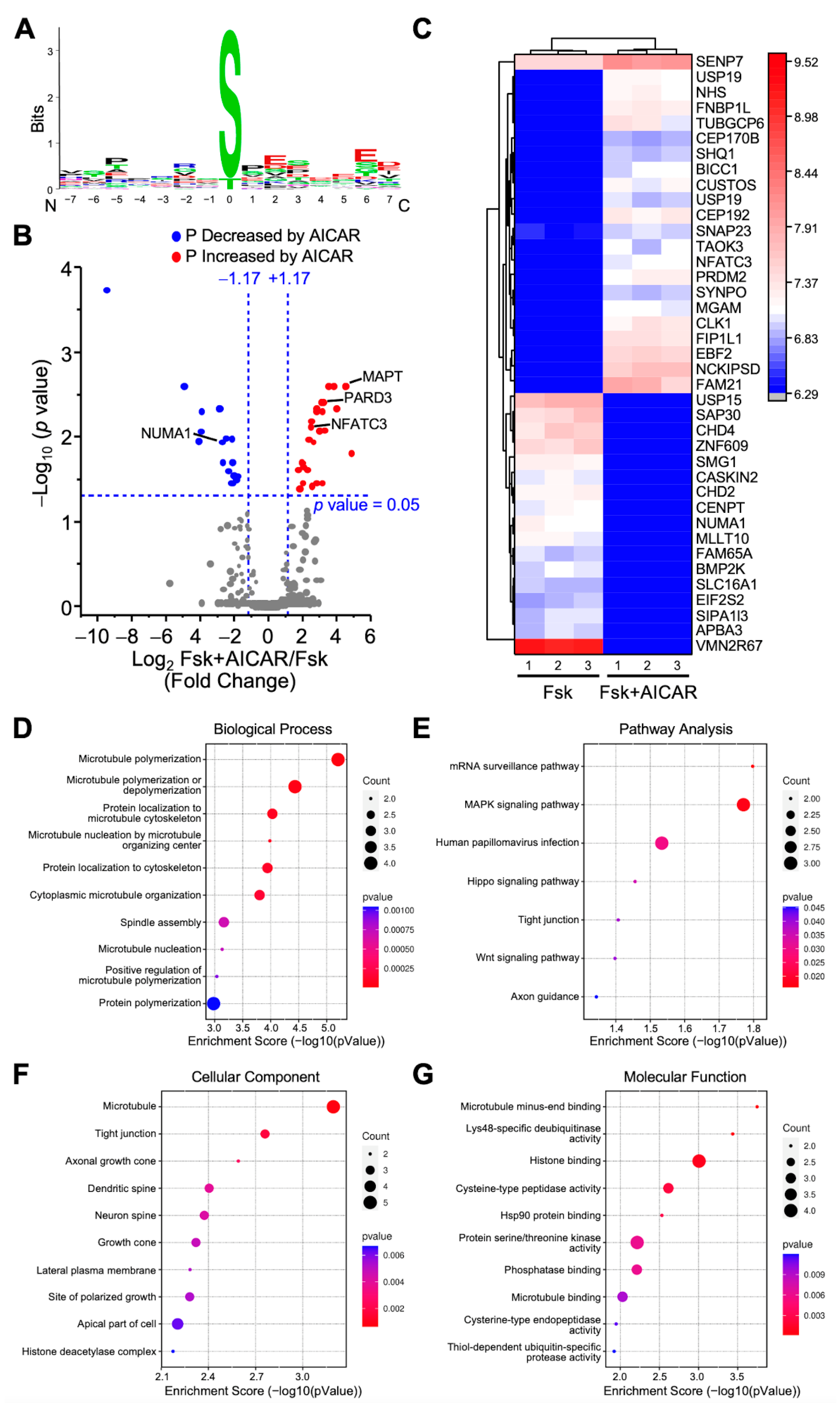Ijms 23 12846 g003 Ijms 23 12846 g003