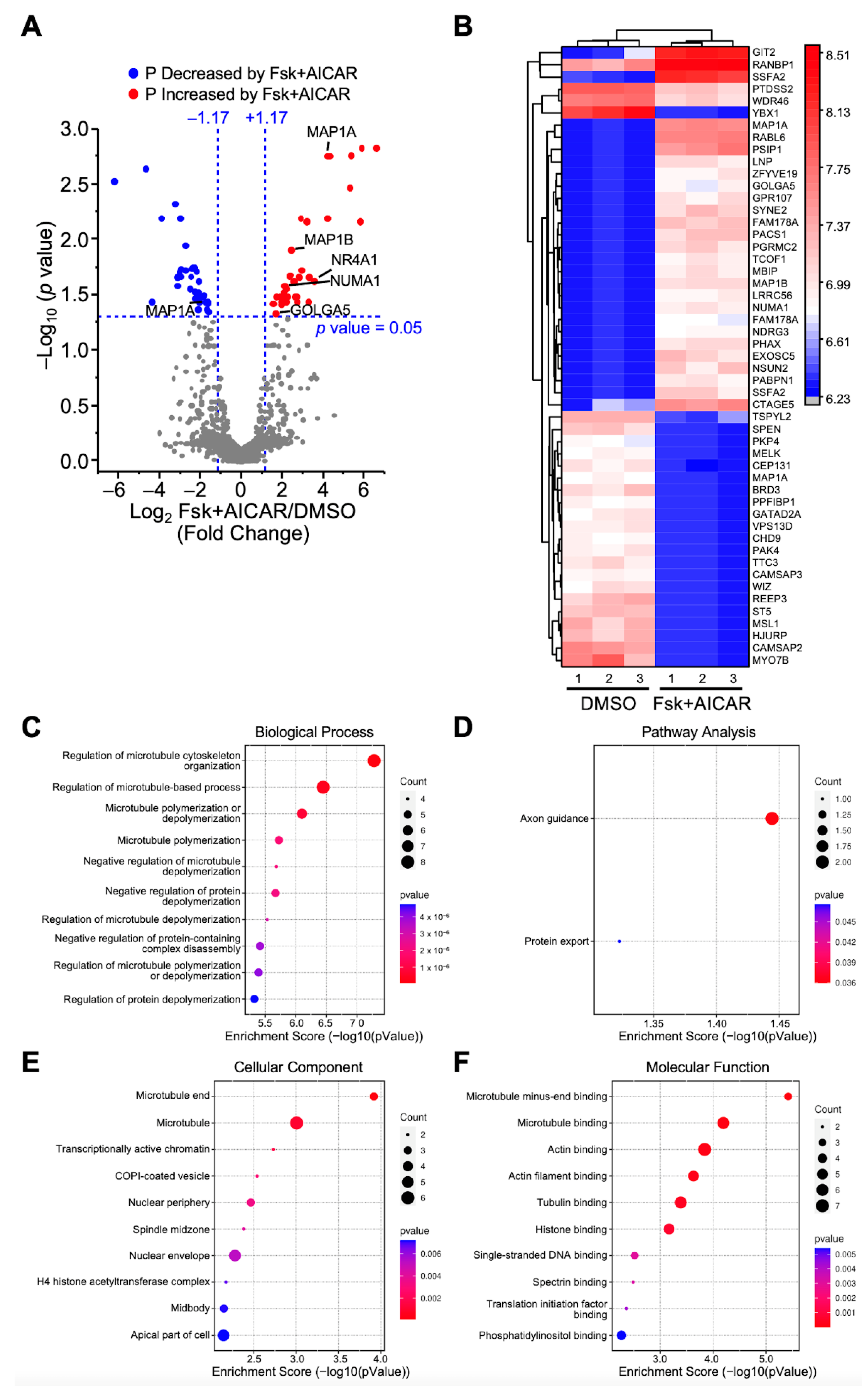 Ijms 23 12846 g004 Ijms 23 12846 g004