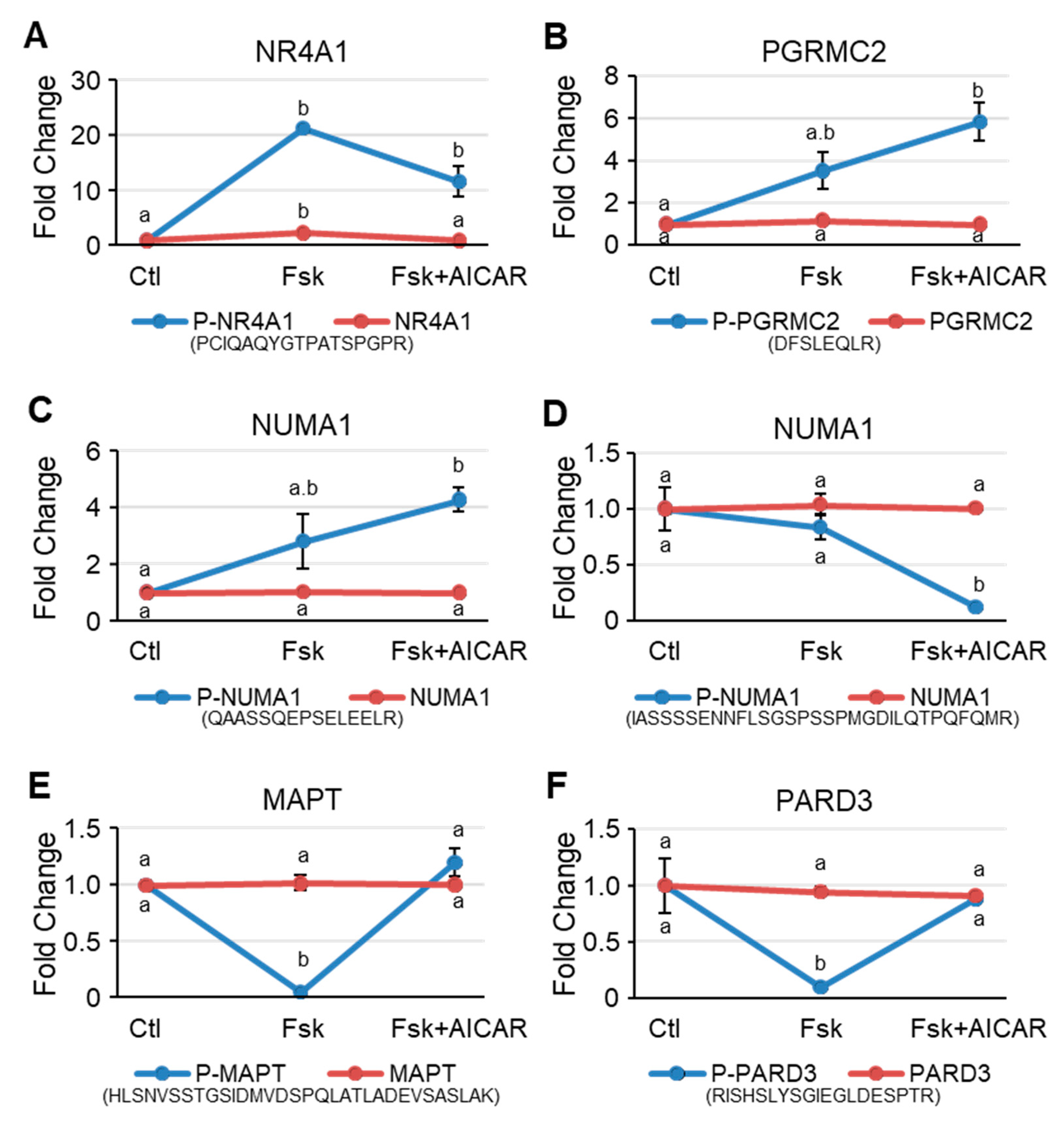 Ijms 23 12846 g005 Ijms 23 12846 g005