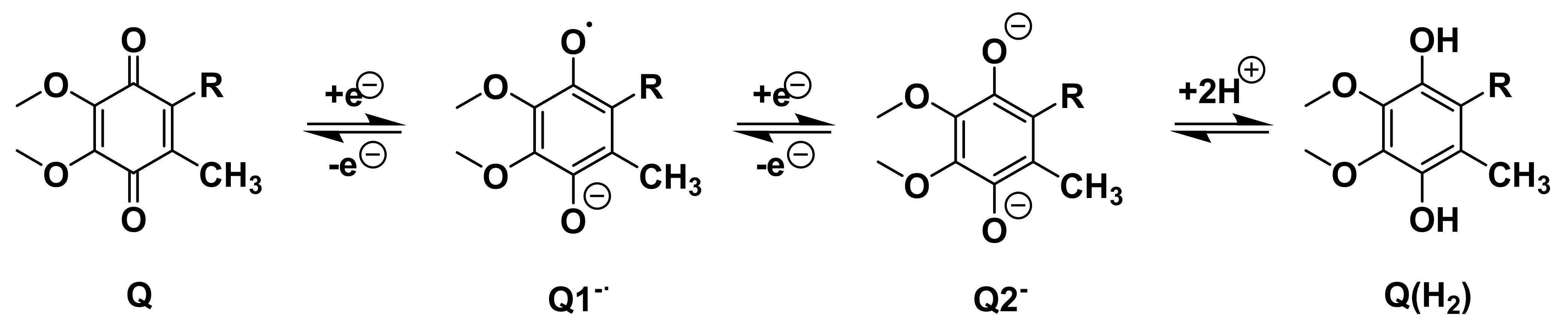 Ijms 23 12856 sch001