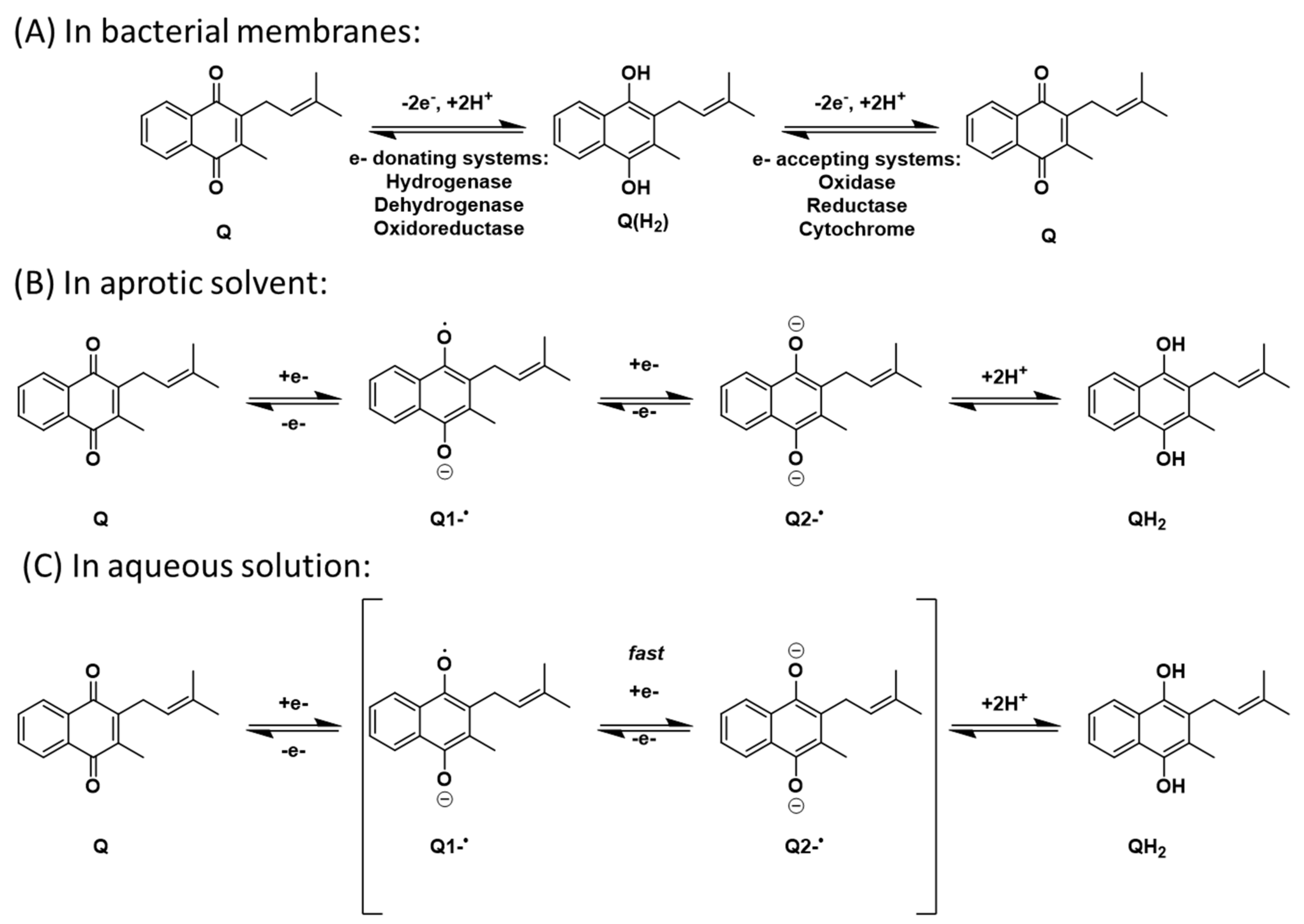 Ijms 23 12856 sch002