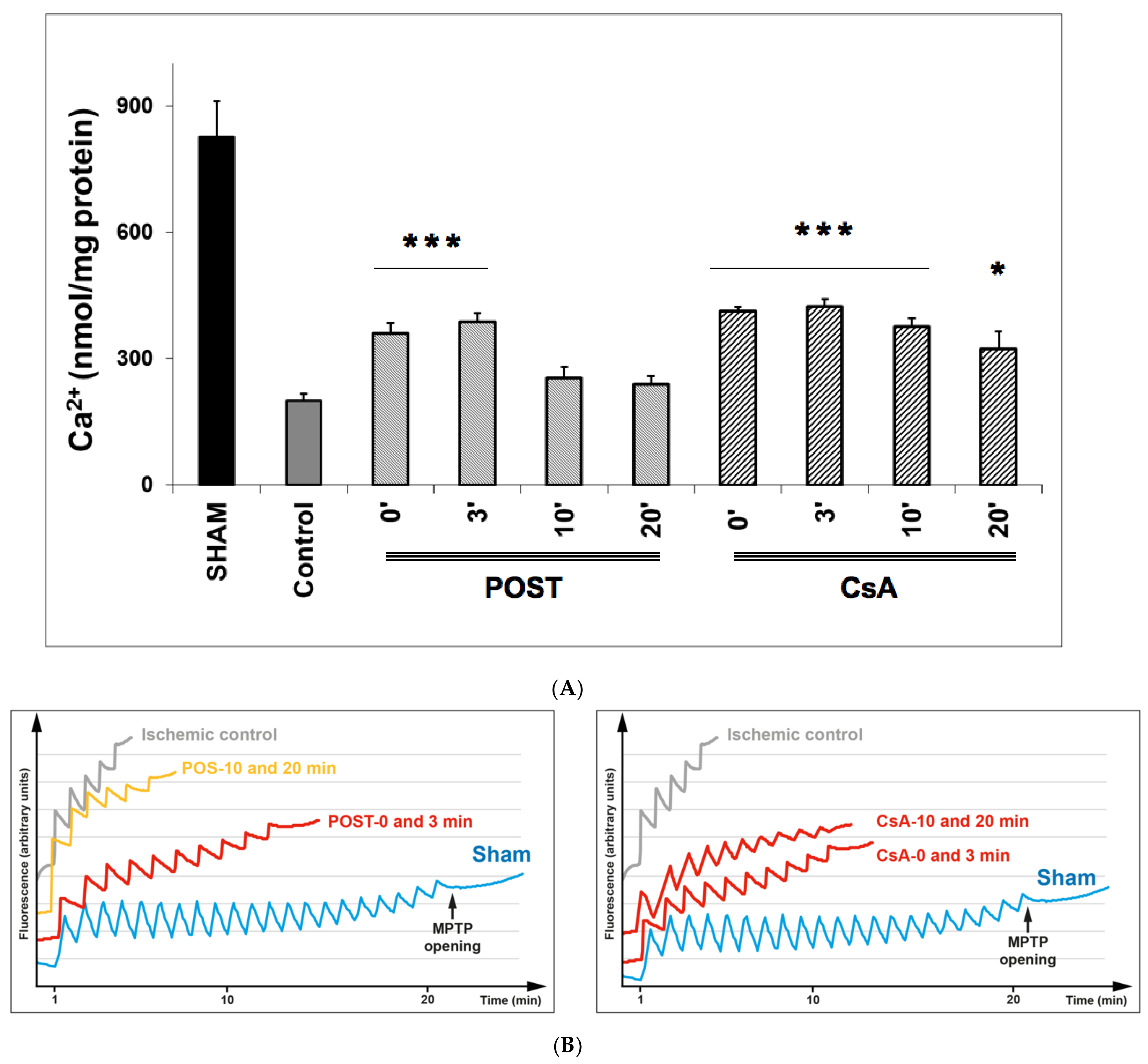 Ijms 23 12858 g003 Ijms 23 12858 g003
