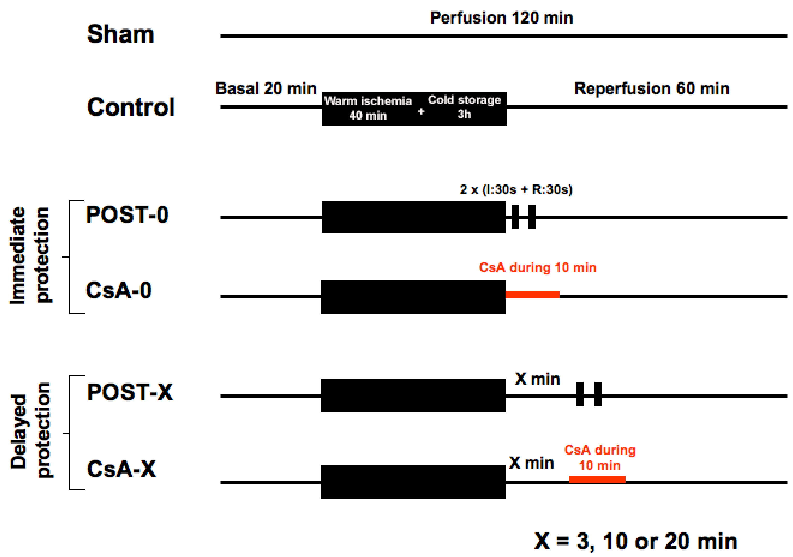 Ijms 23 12858 g005 Ijms 23 12858 g005