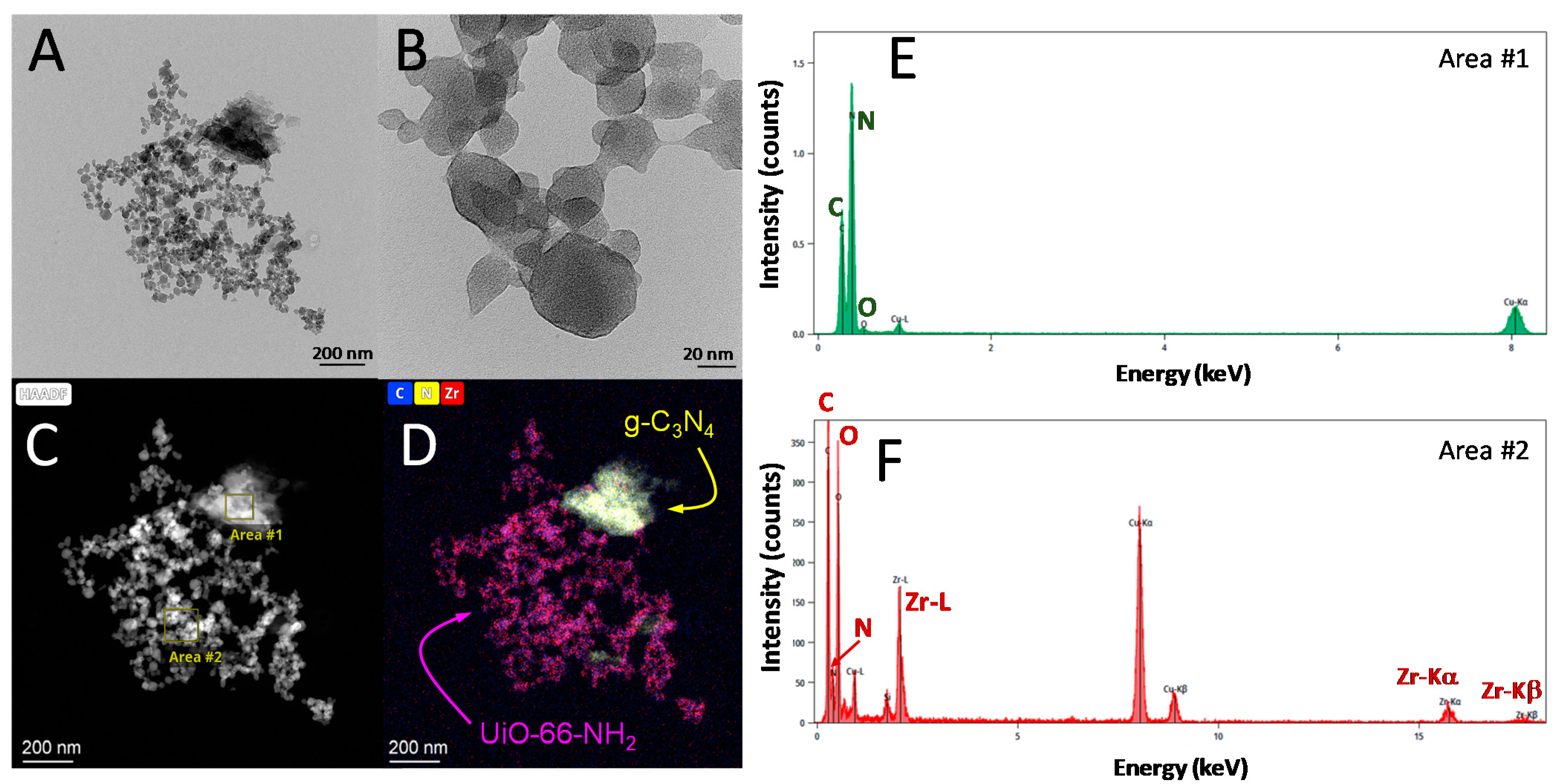 Ijms 23 12871 g002 Ijms 23 12871 g002