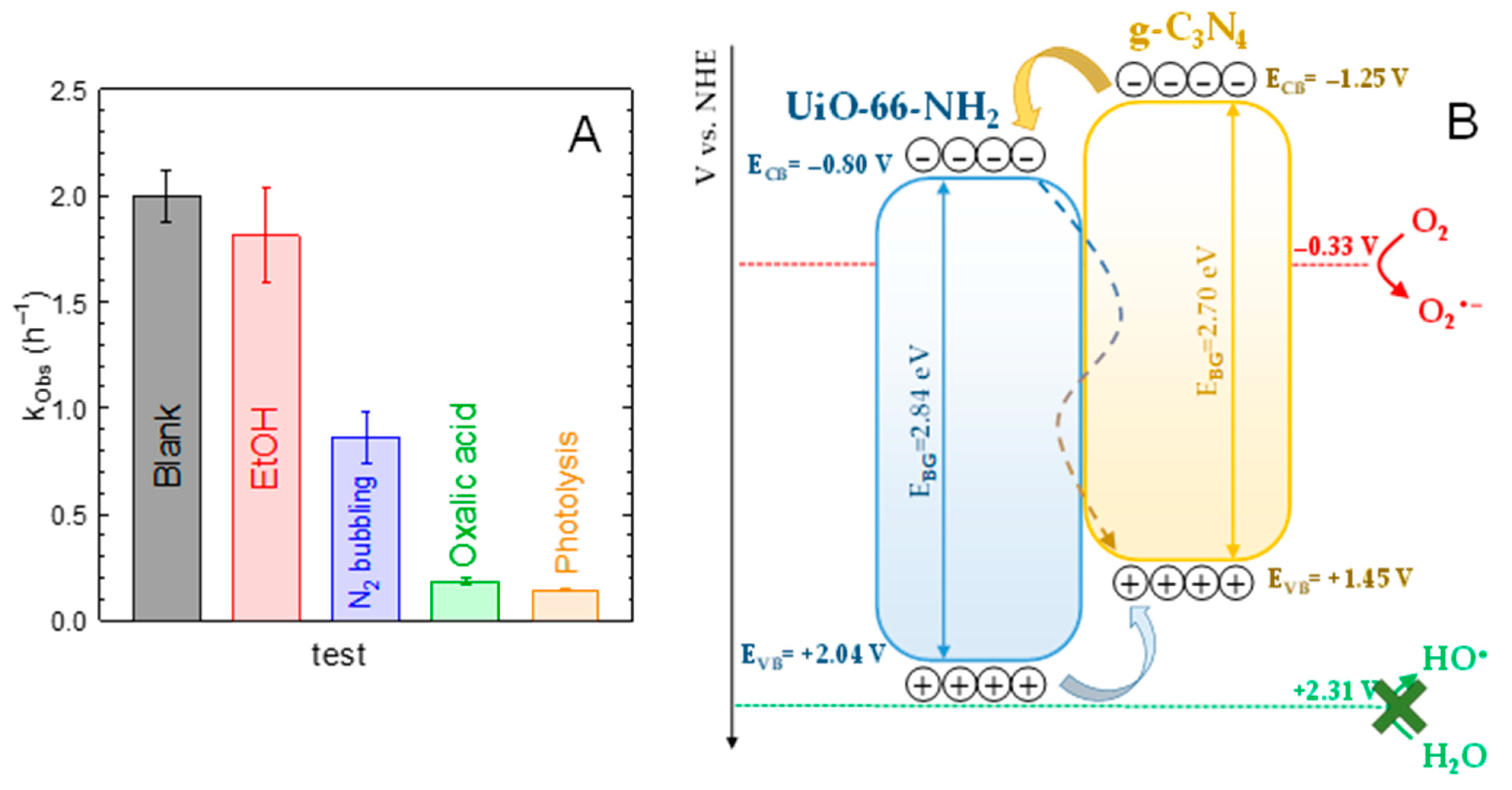 Ijms 23 12871 g008 Ijms 23 12871 g008
