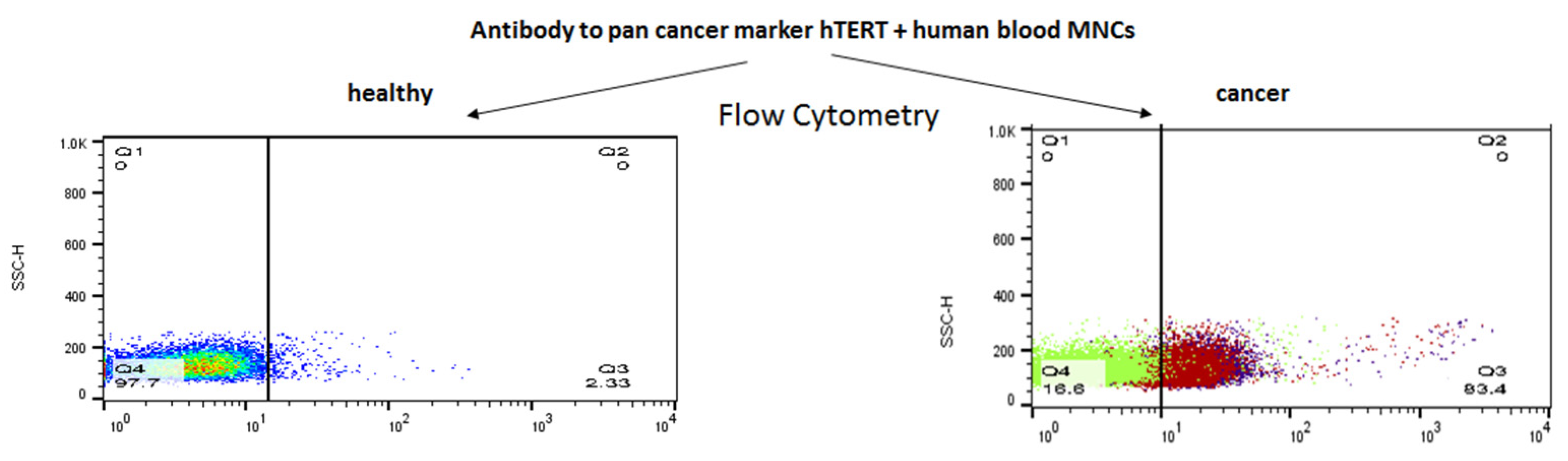 Ijms 23 12872 g007 Ijms 23 12872 g007