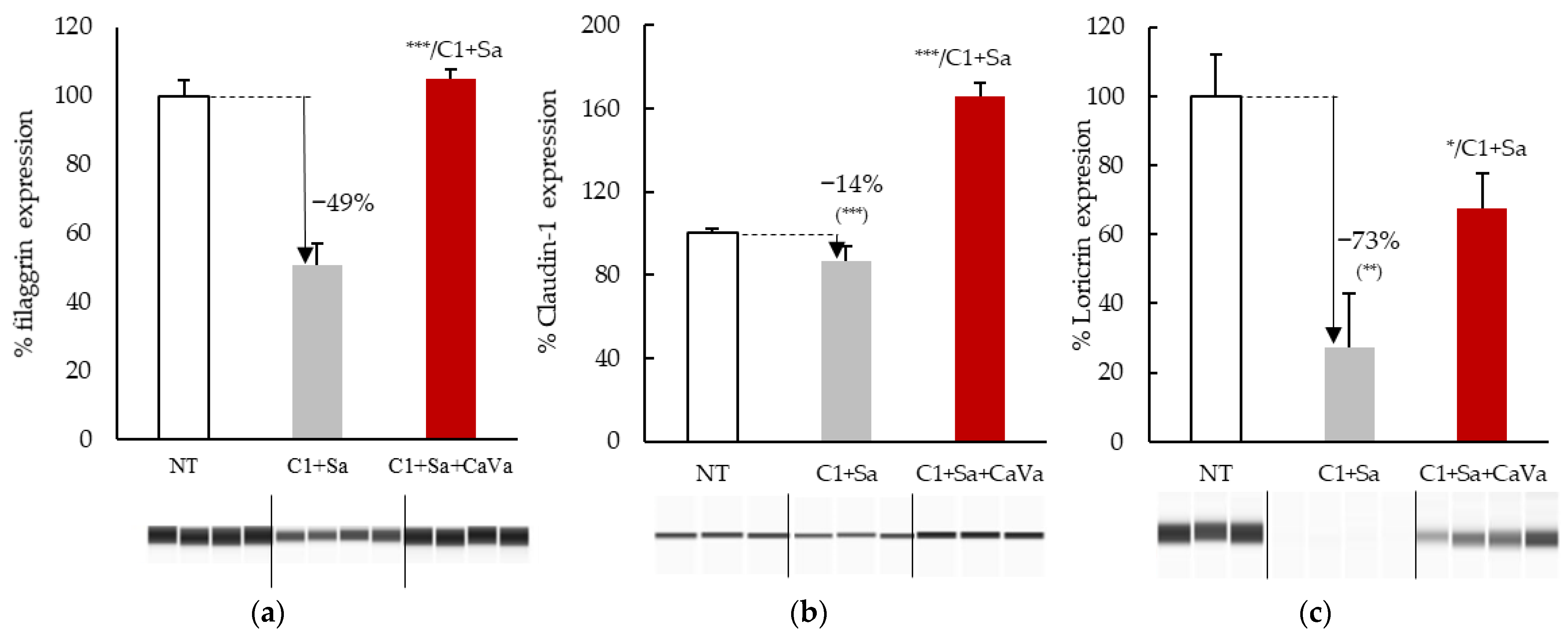 Ijms 23 12880 g002 Ijms 23 12880 g002