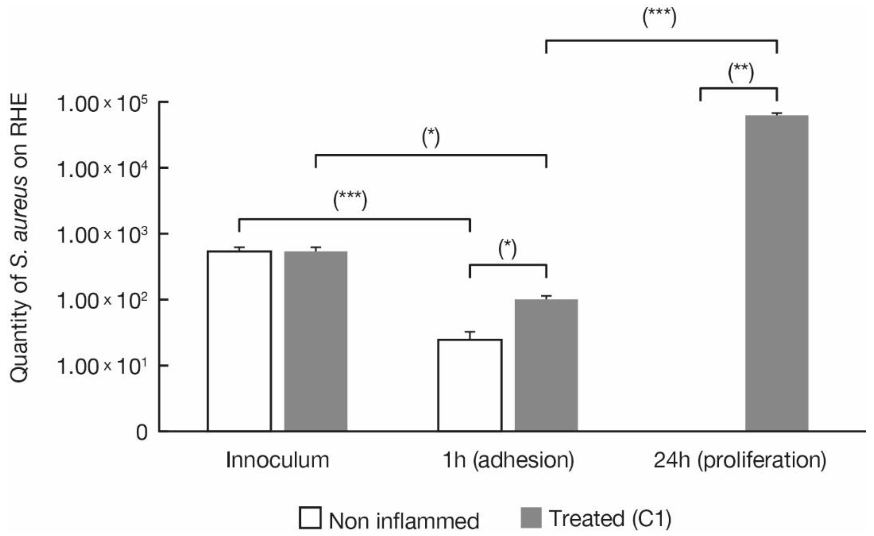 Ijms 23 12880 g004 Ijms 23 12880 g004