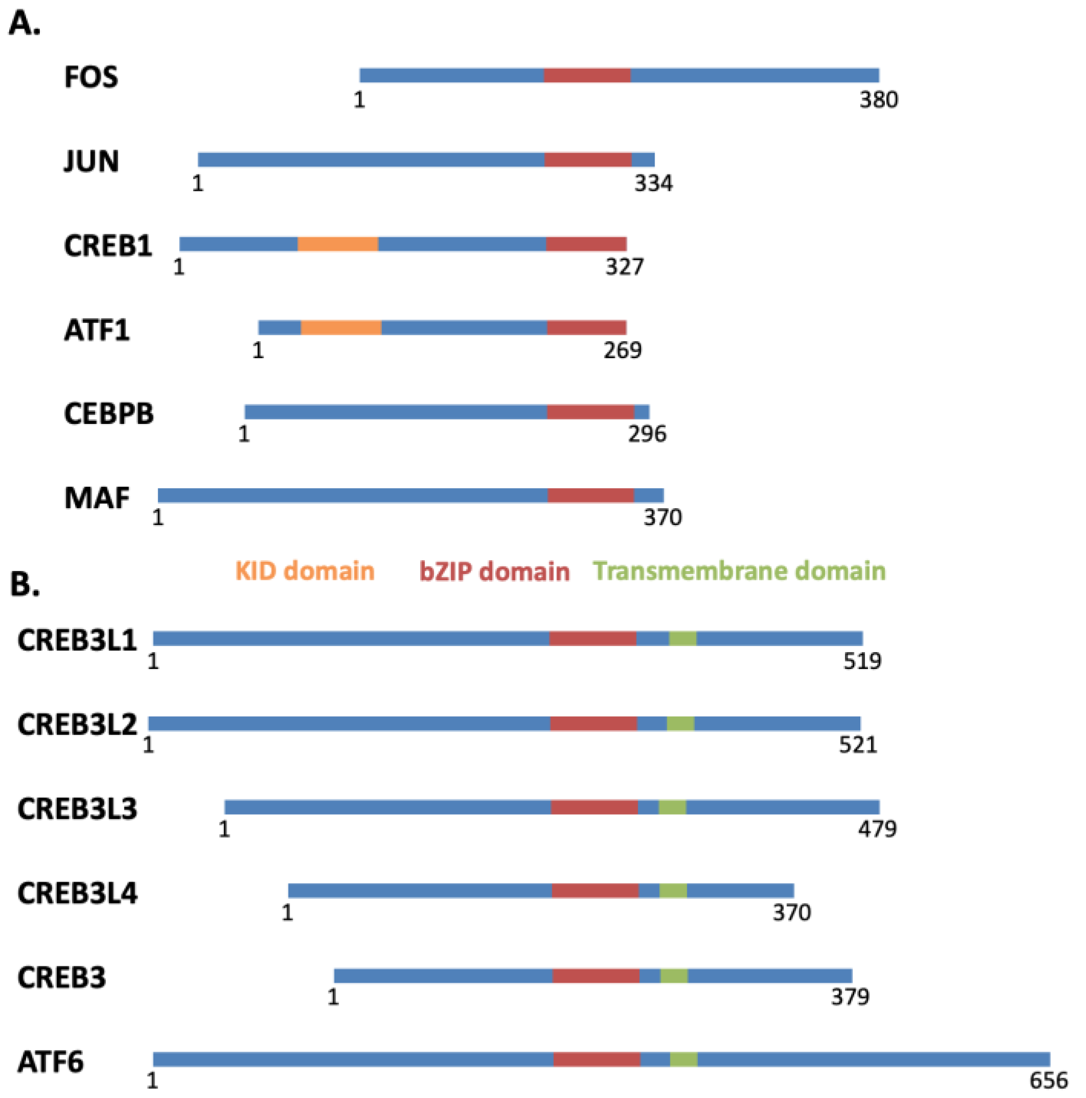 Ijms 23 12887 g001 Ijms 23 12887 g001