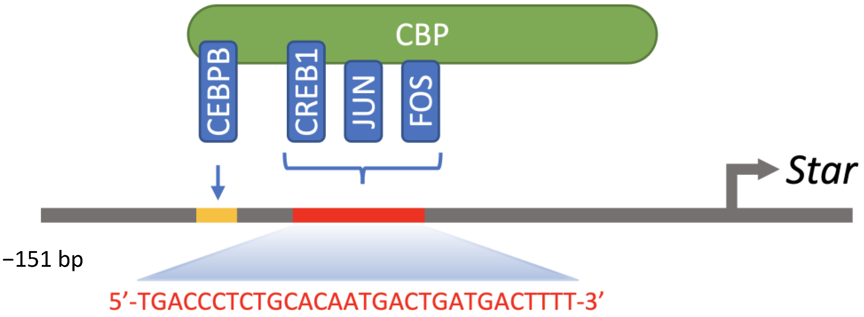 Ijms 23 12887 g004 Ijms 23 12887 g004