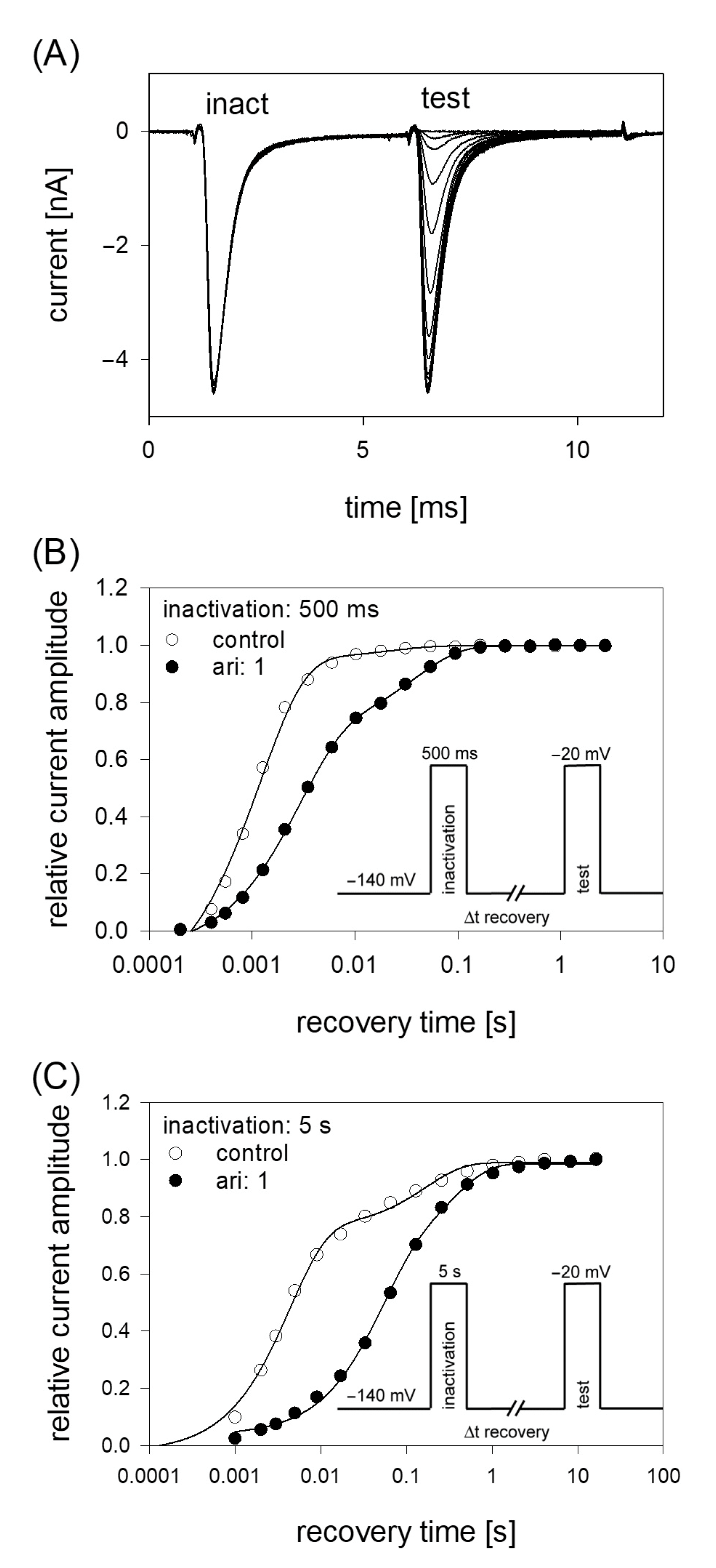Ijms 23 12890 g008 Ijms 23 12890 g008