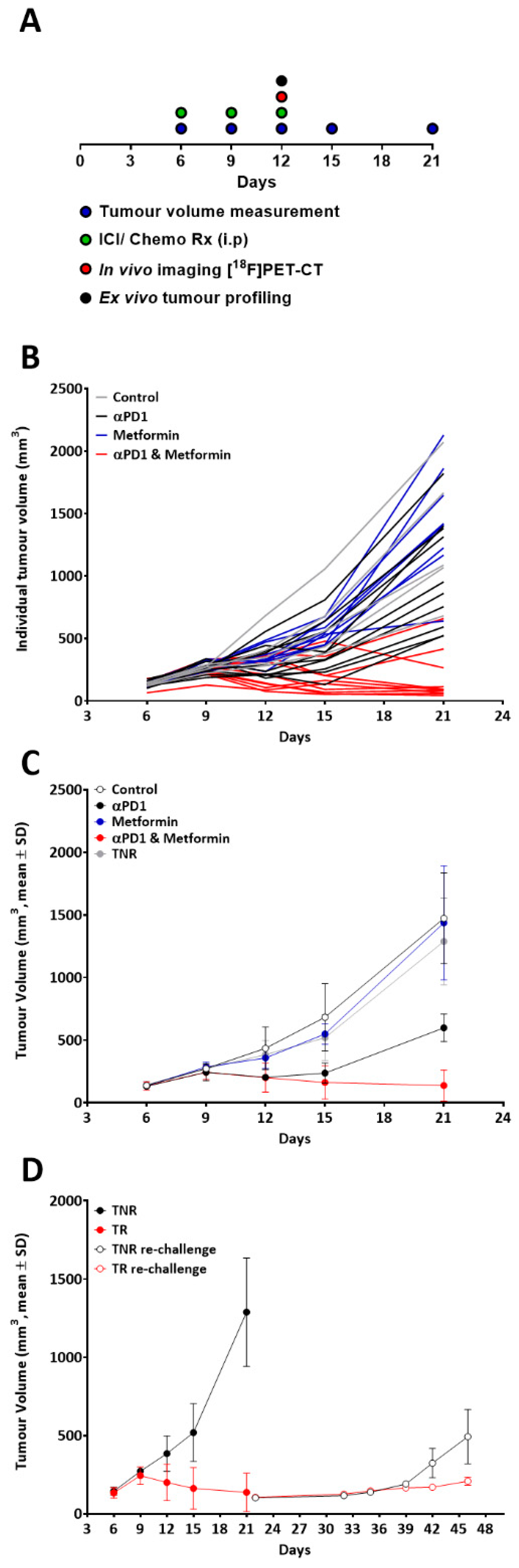Ijms 23 12892 g001 Ijms 23 12892 g001