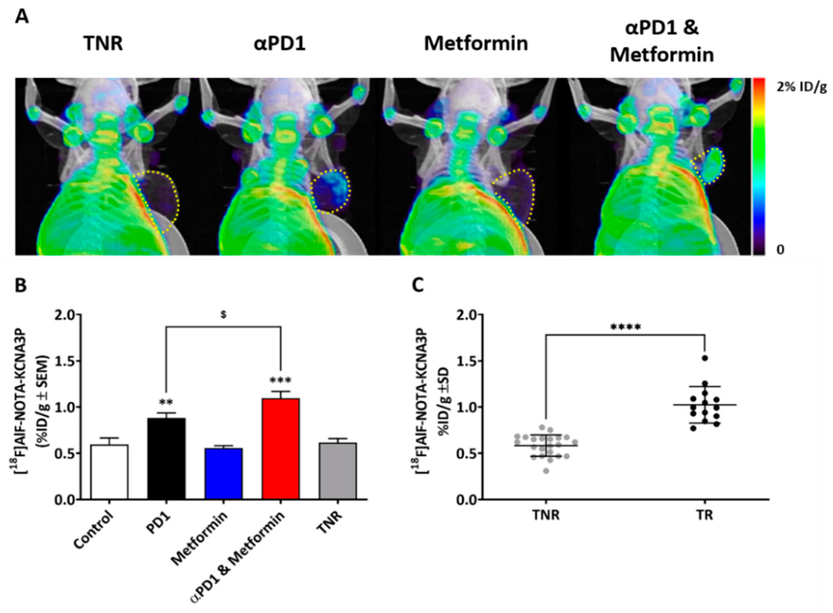 Ijms 23 12892 g002 Ijms 23 12892 g002