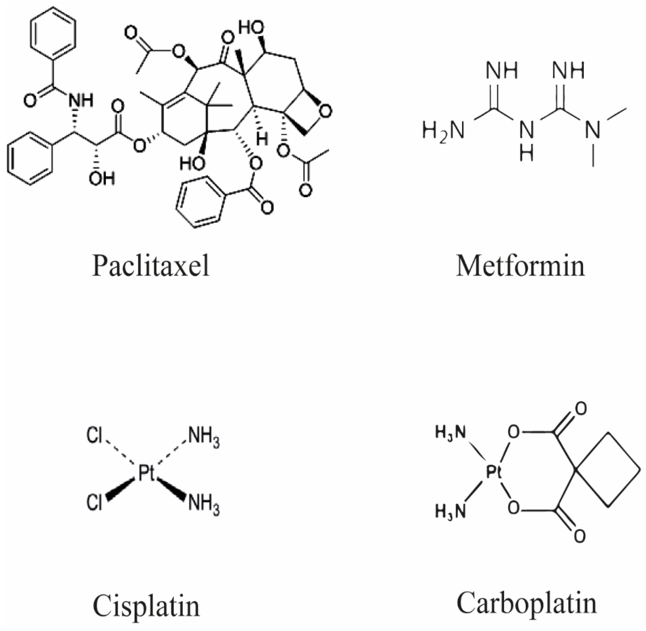 Ijms 23 12893 g001 Ijms 23 12893 g001