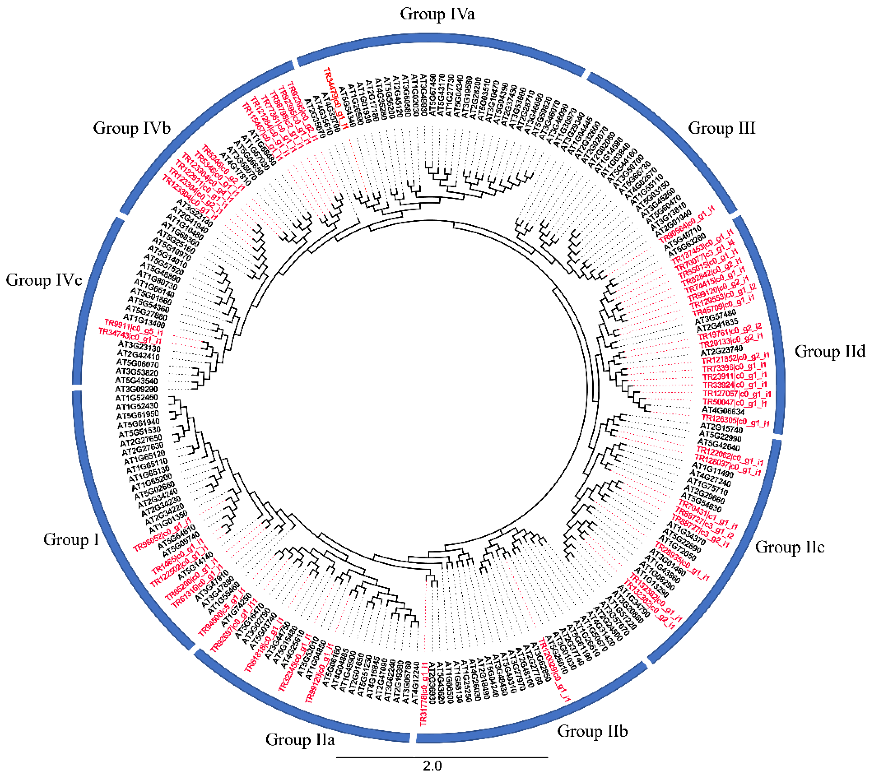 Ijms 23 12894 g001 Ijms 23 12894 g001