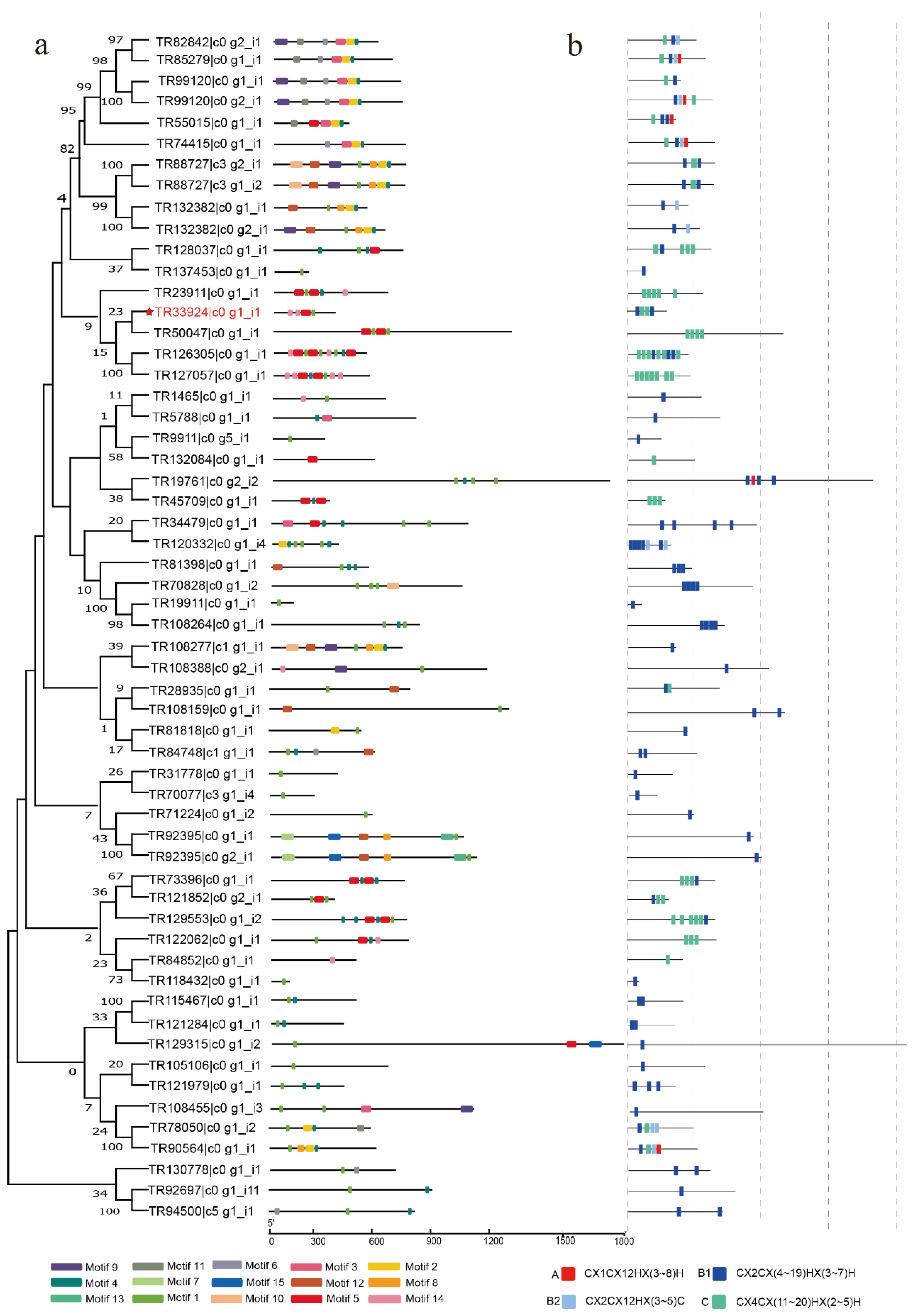 Ijms 23 12894 g002 Ijms 23 12894 g002