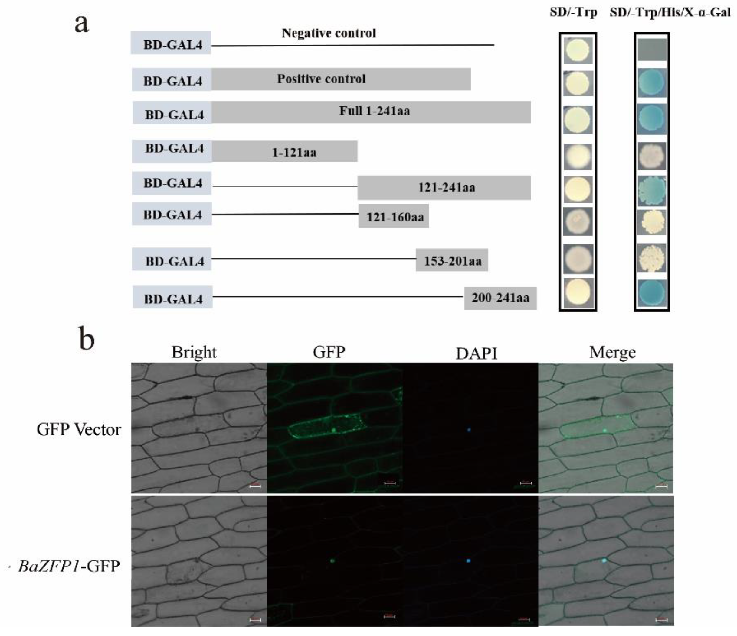 Ijms 23 12894 g003 Ijms 23 12894 g003