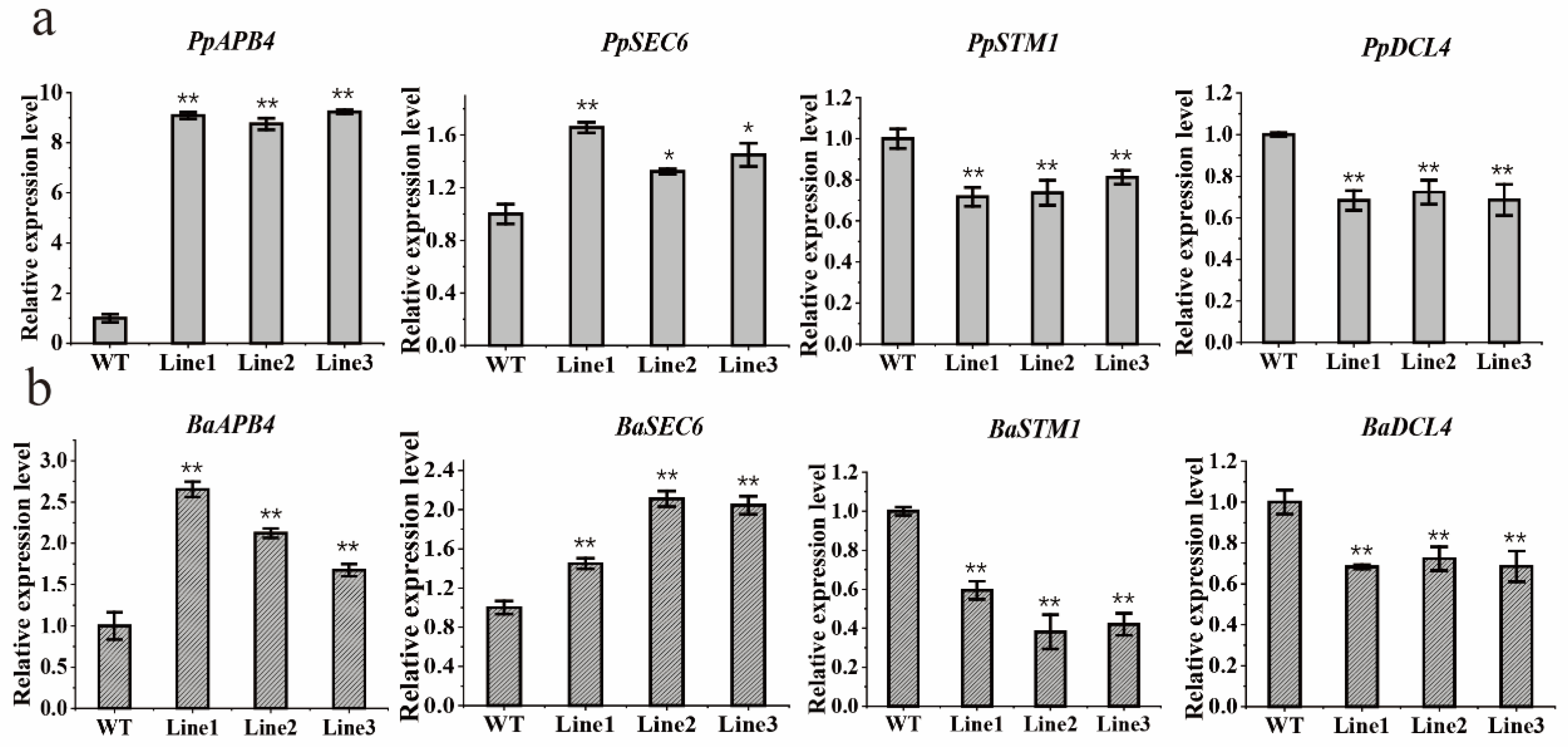 Ijms 23 12894 g007 Ijms 23 12894 g007