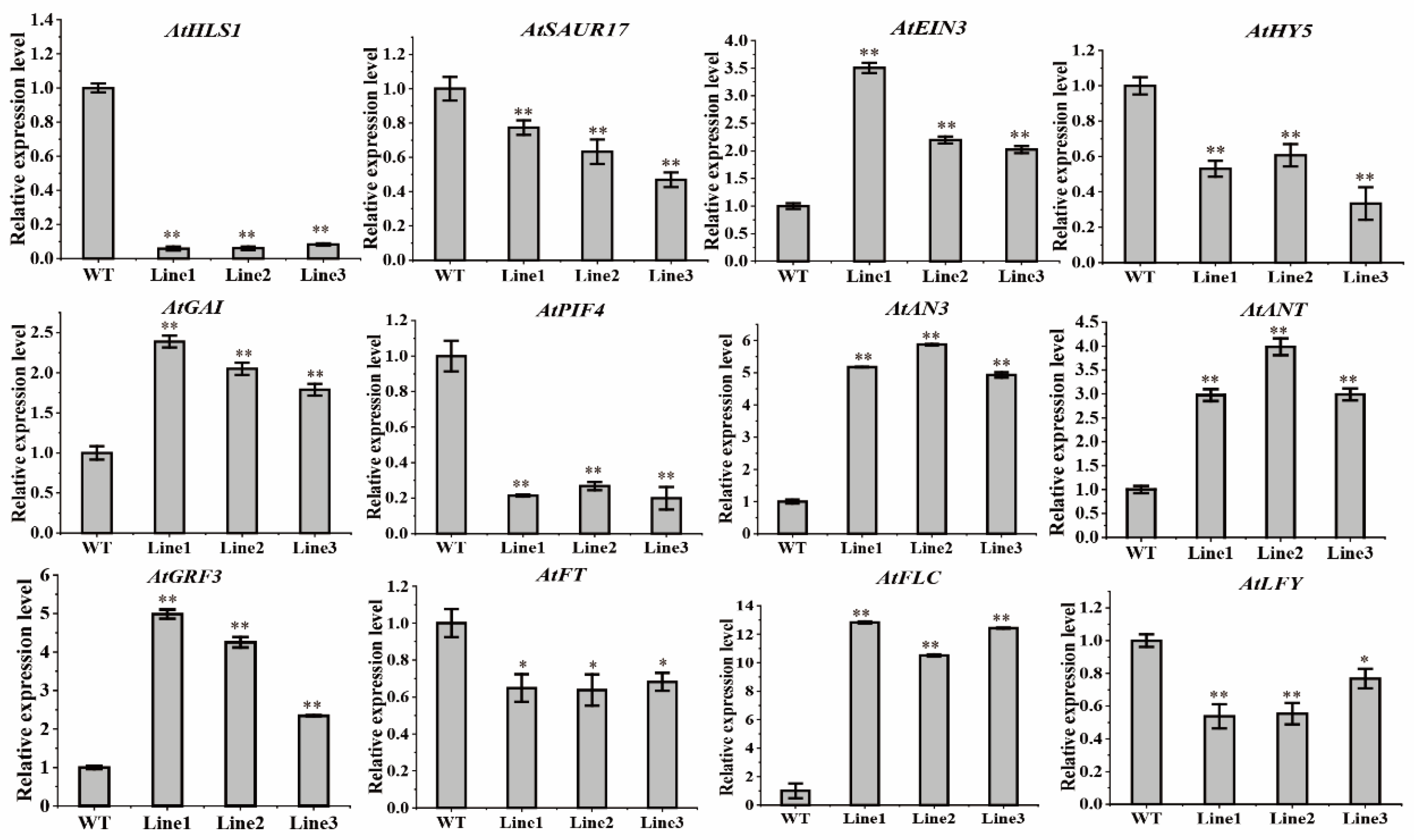 Ijms 23 12894 g008 Ijms 23 12894 g008