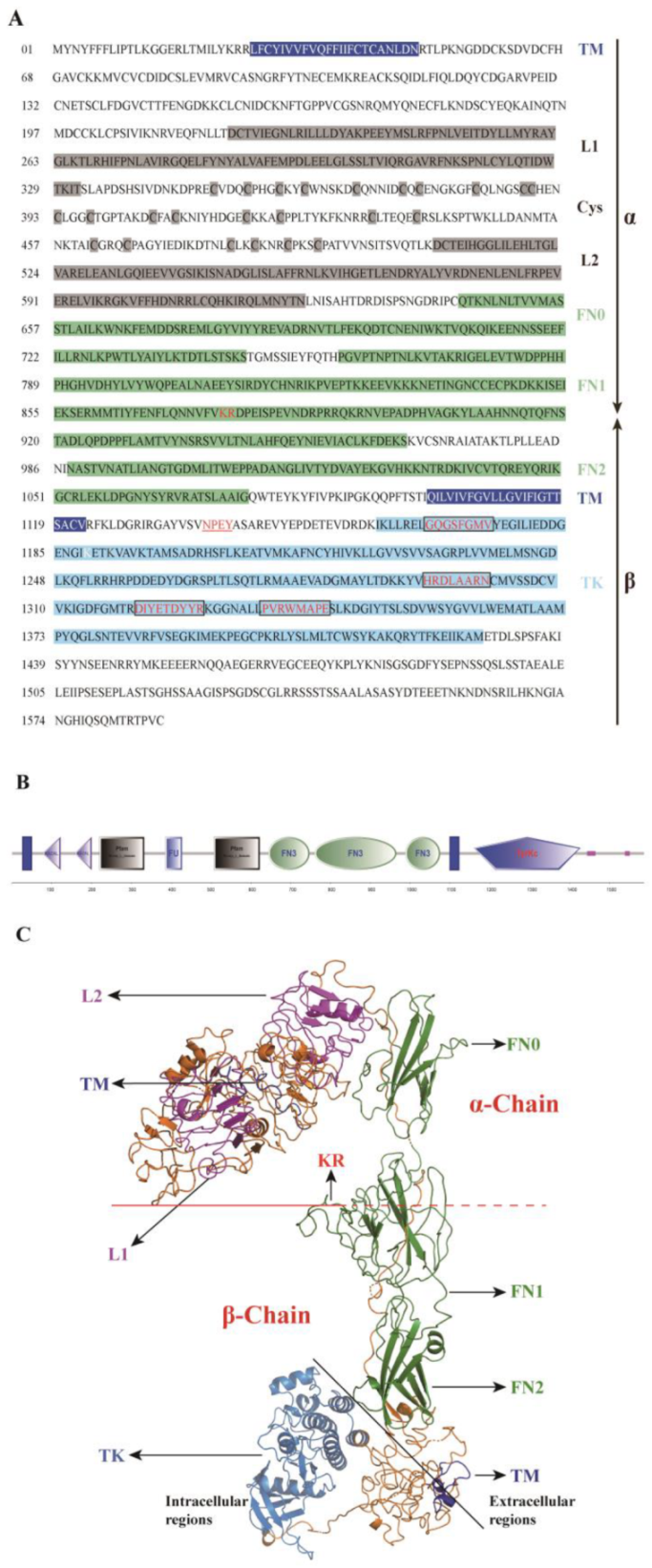 Ijms 23 12903 g001 Ijms 23 12903 g001