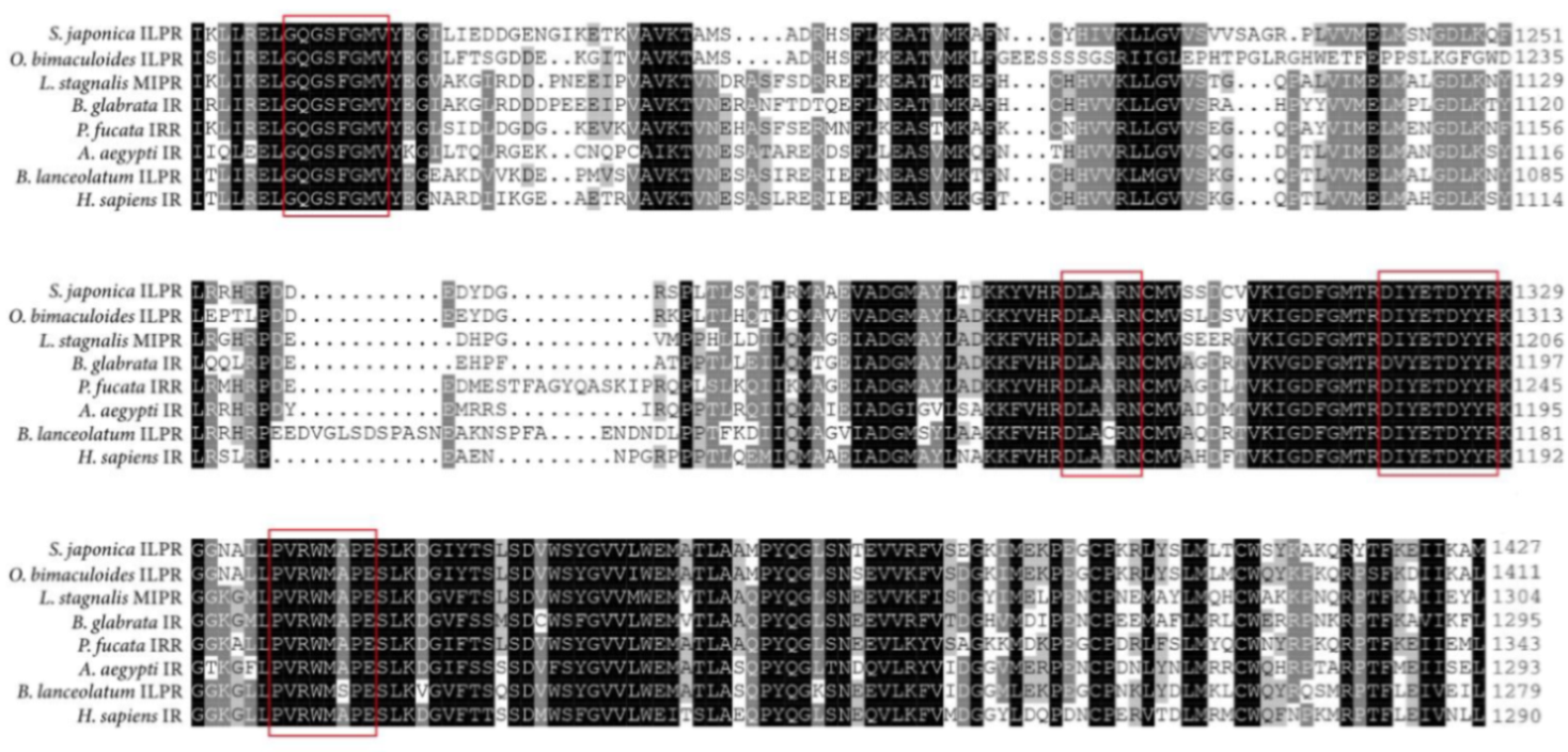 Ijms 23 12903 g002 Ijms 23 12903 g002