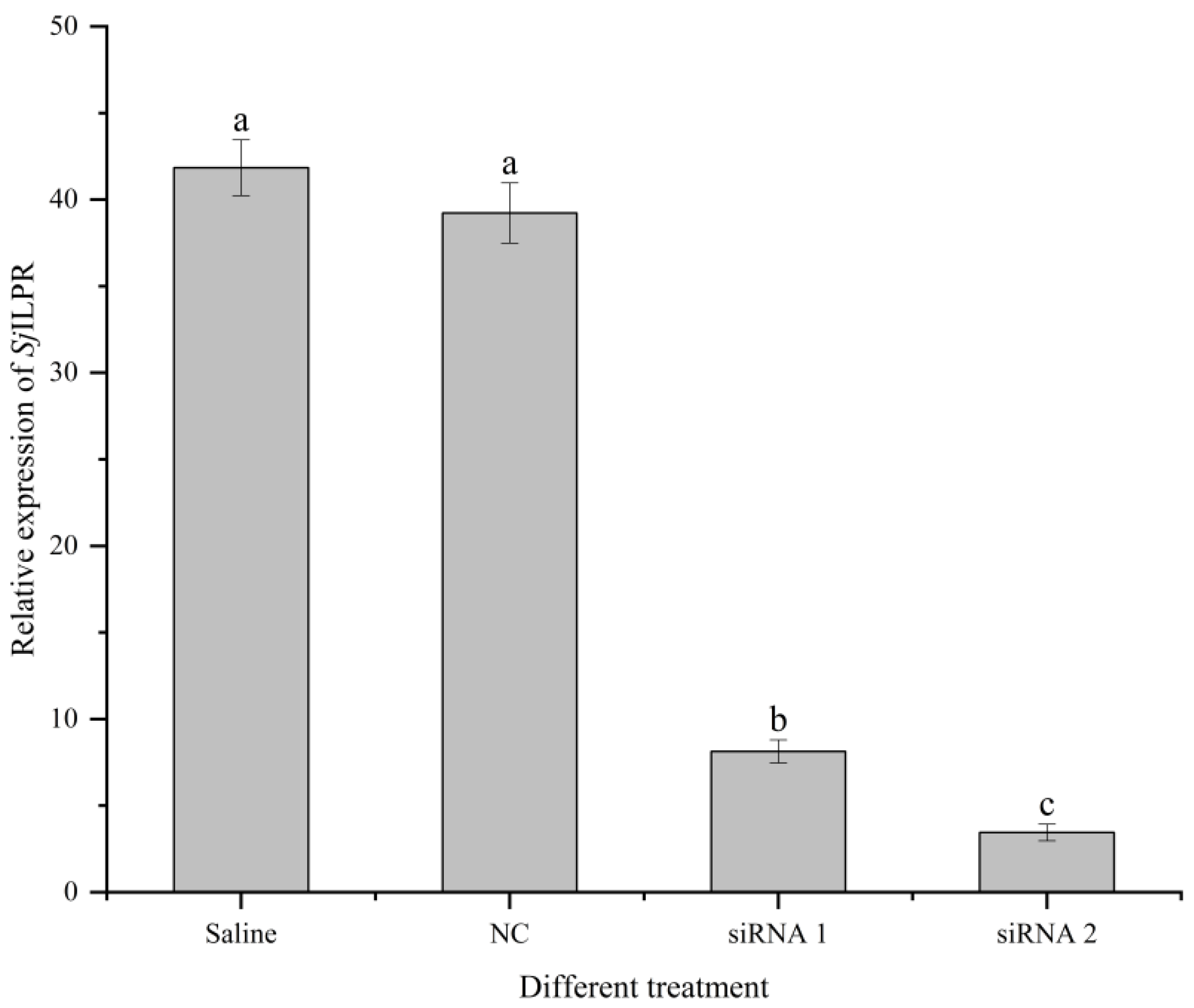 Ijms 23 12903 g006 Ijms 23 12903 g006