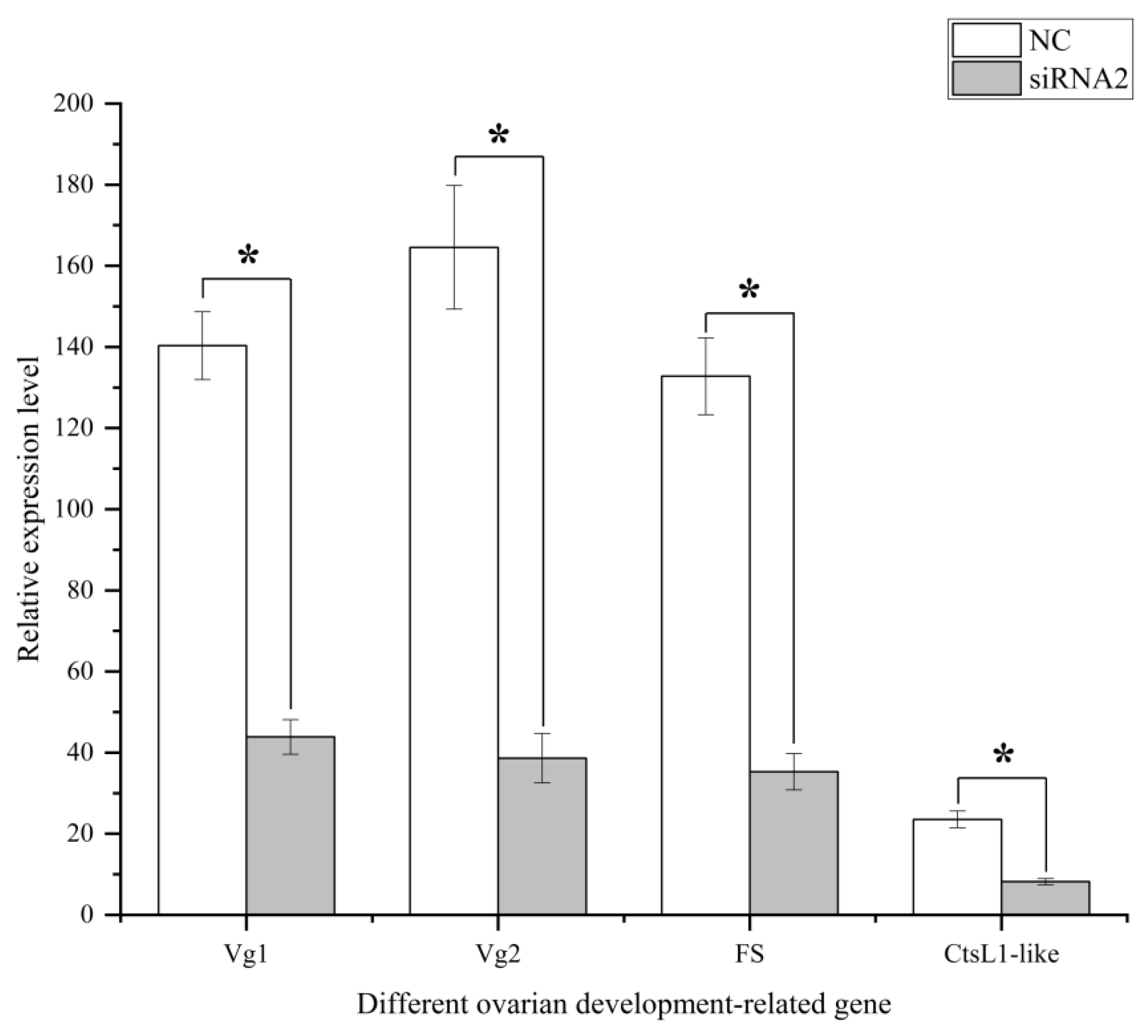 Ijms 23 12903 g009 Ijms 23 12903 g009