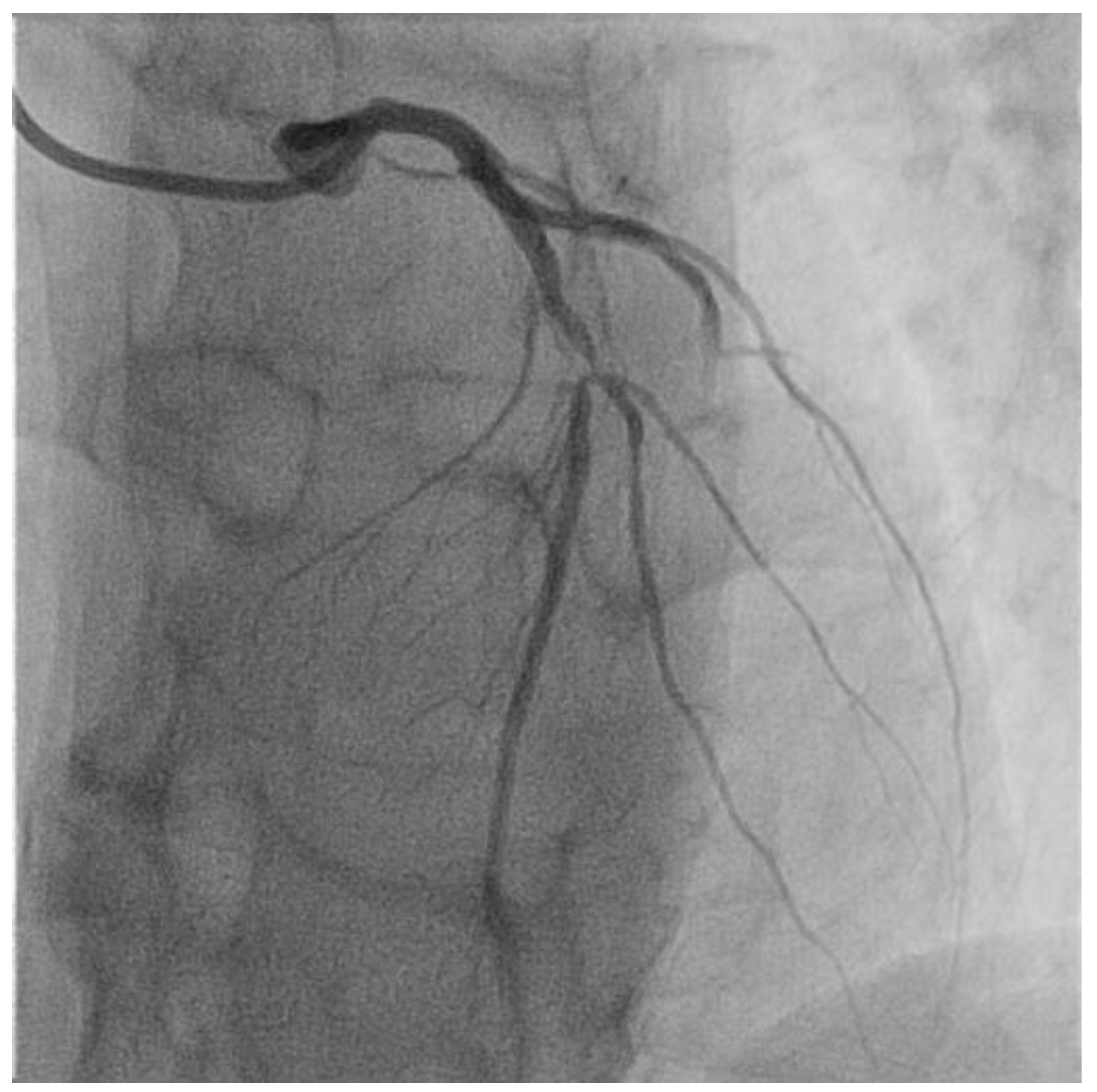 Ijms 23 12906 g002 Ijms 23 12906 g002