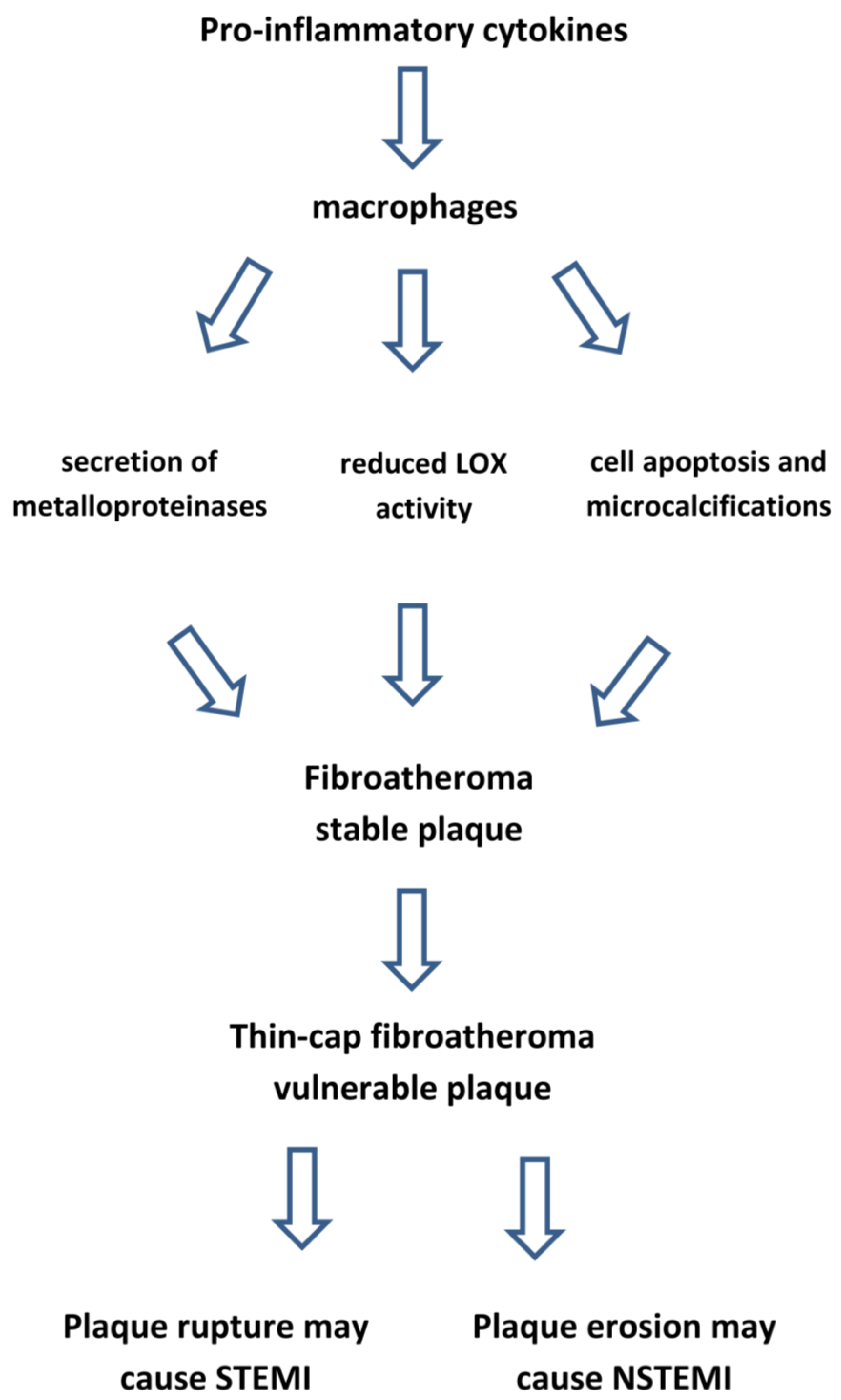 Ijms 23 12906 g008 Ijms 23 12906 g008