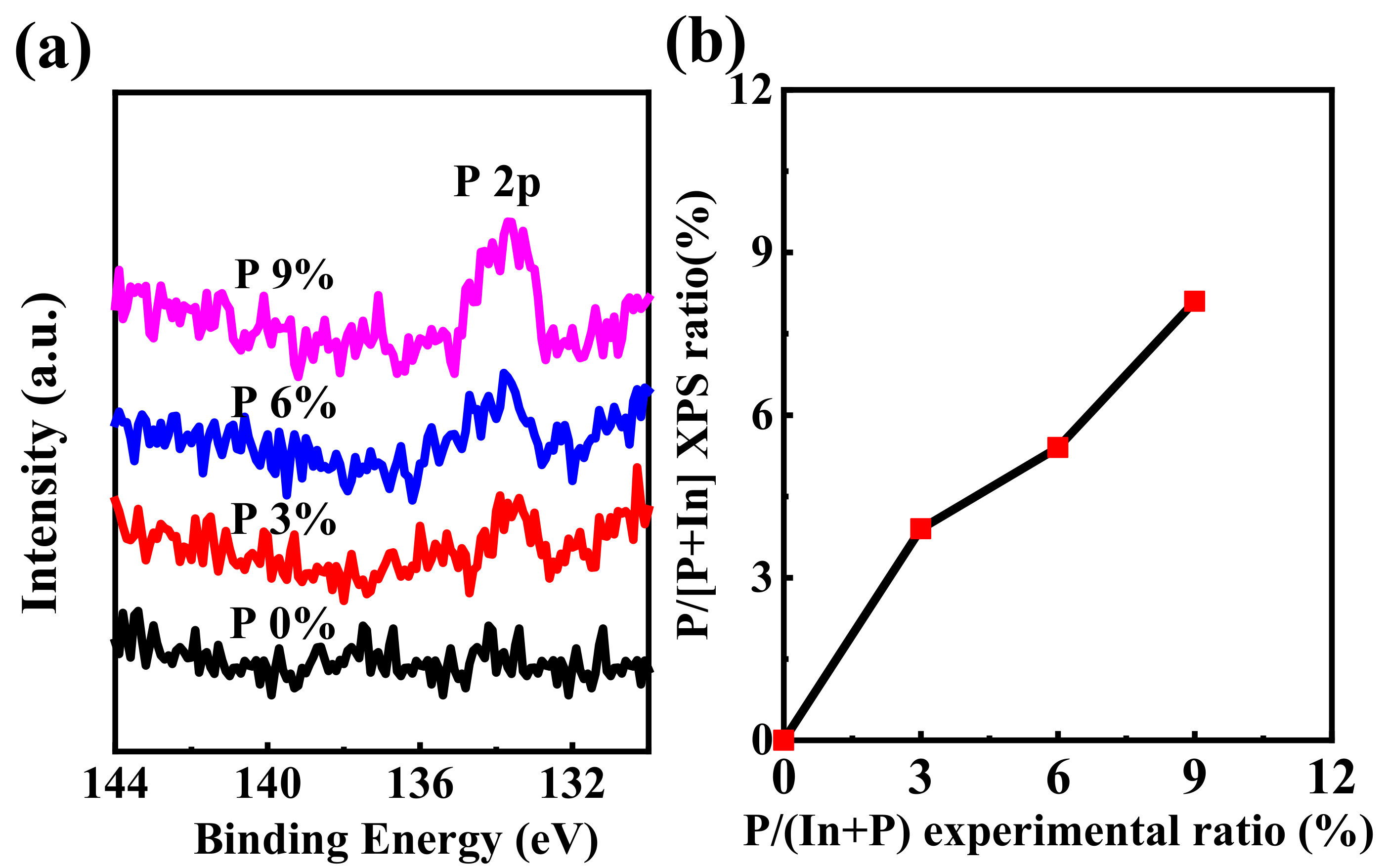 Ijms 23 12912 g004 Ijms 23 12912 g004
