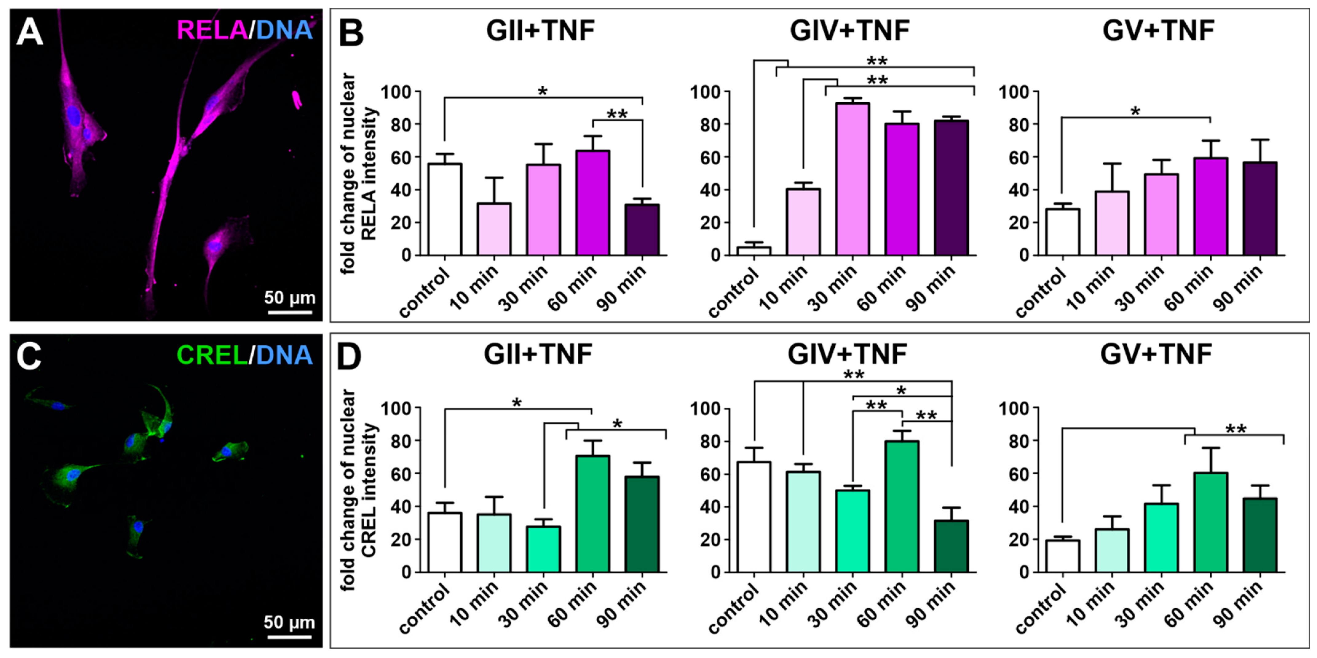Ijms 23 12919 g003 Ijms 23 12919 g003