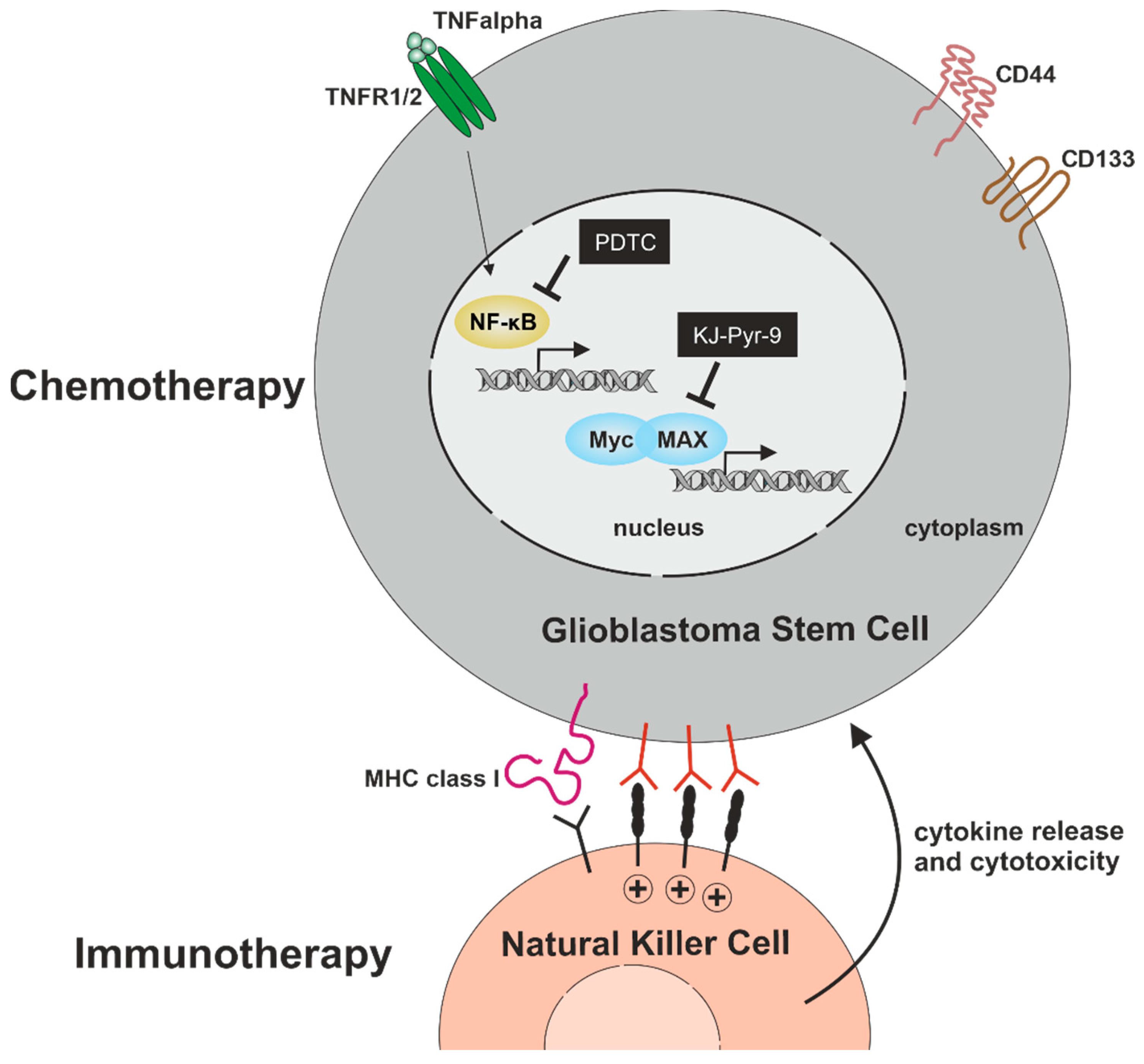 Ijms 23 12919 g009 Ijms 23 12919 g009