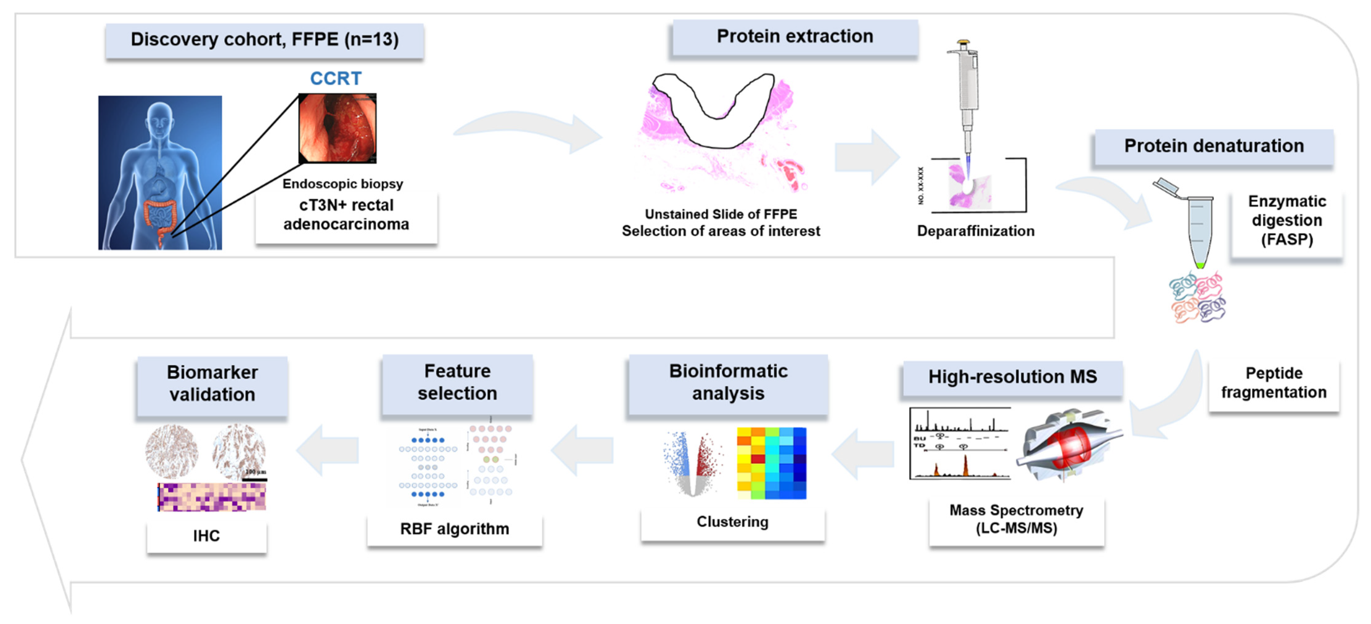 Ijms 23 12923 g005 Ijms 23 12923 g005