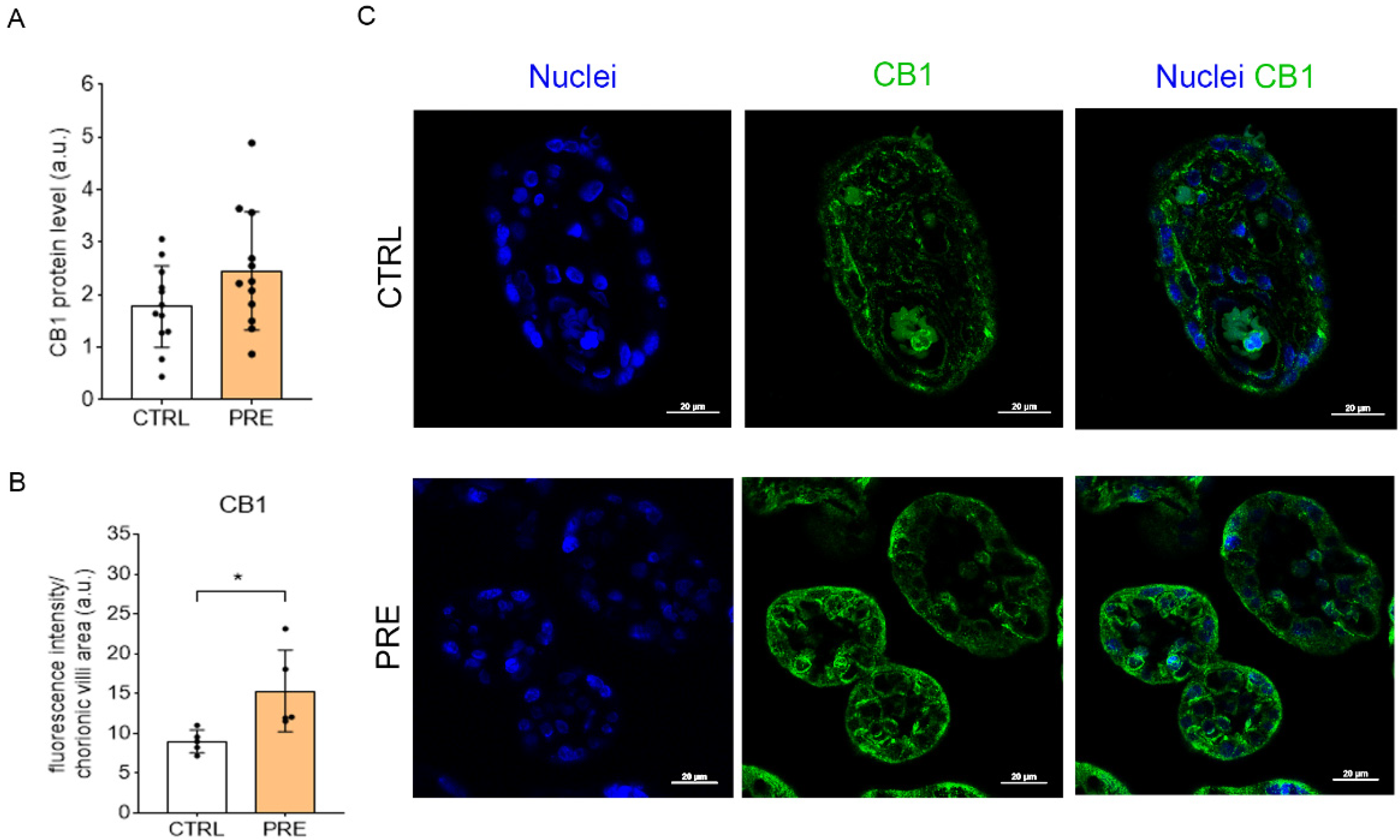 Ijms 23 12931 g001 Ijms 23 12931 g001