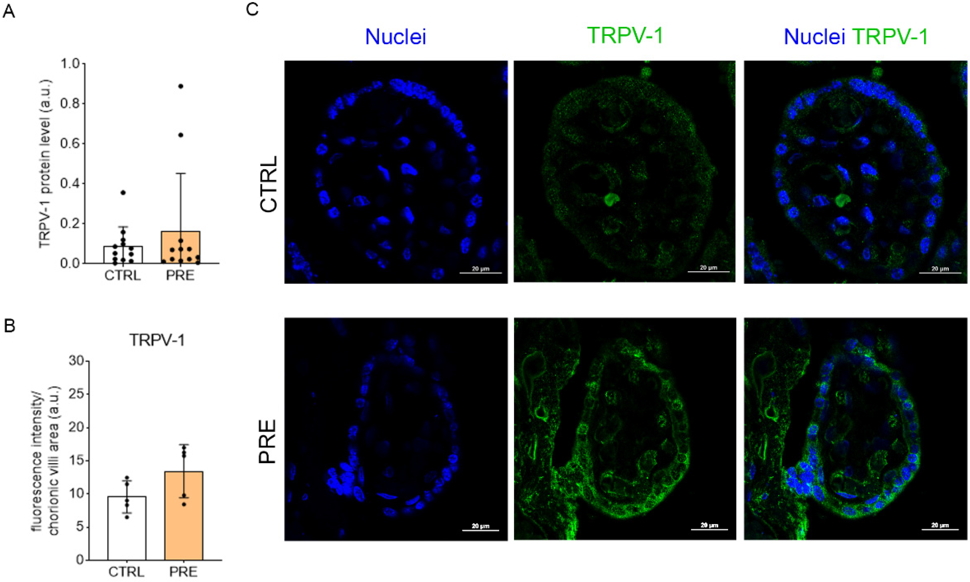 Ijms 23 12931 g002 Ijms 23 12931 g002