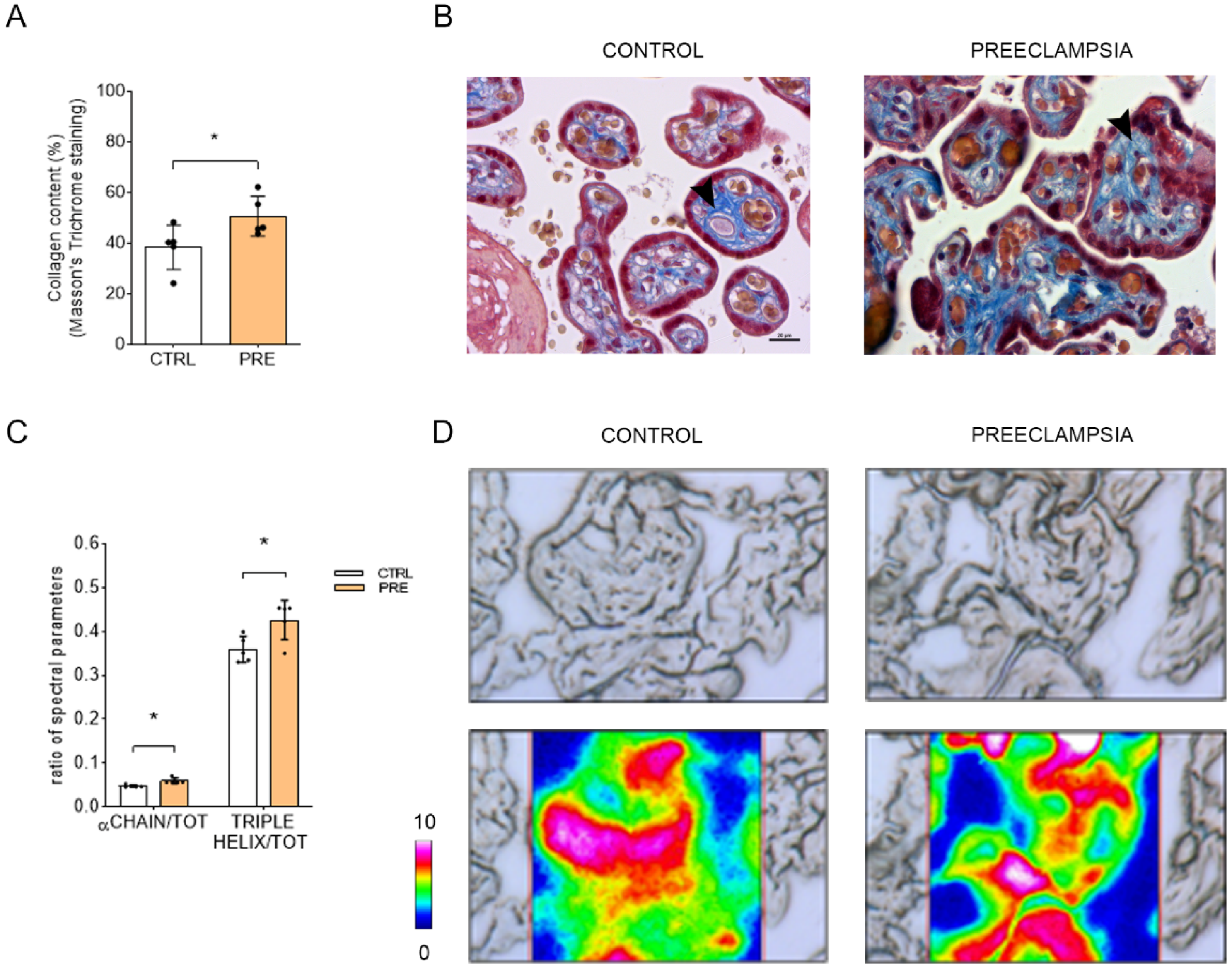 Ijms 23 12931 g005 Ijms 23 12931 g005