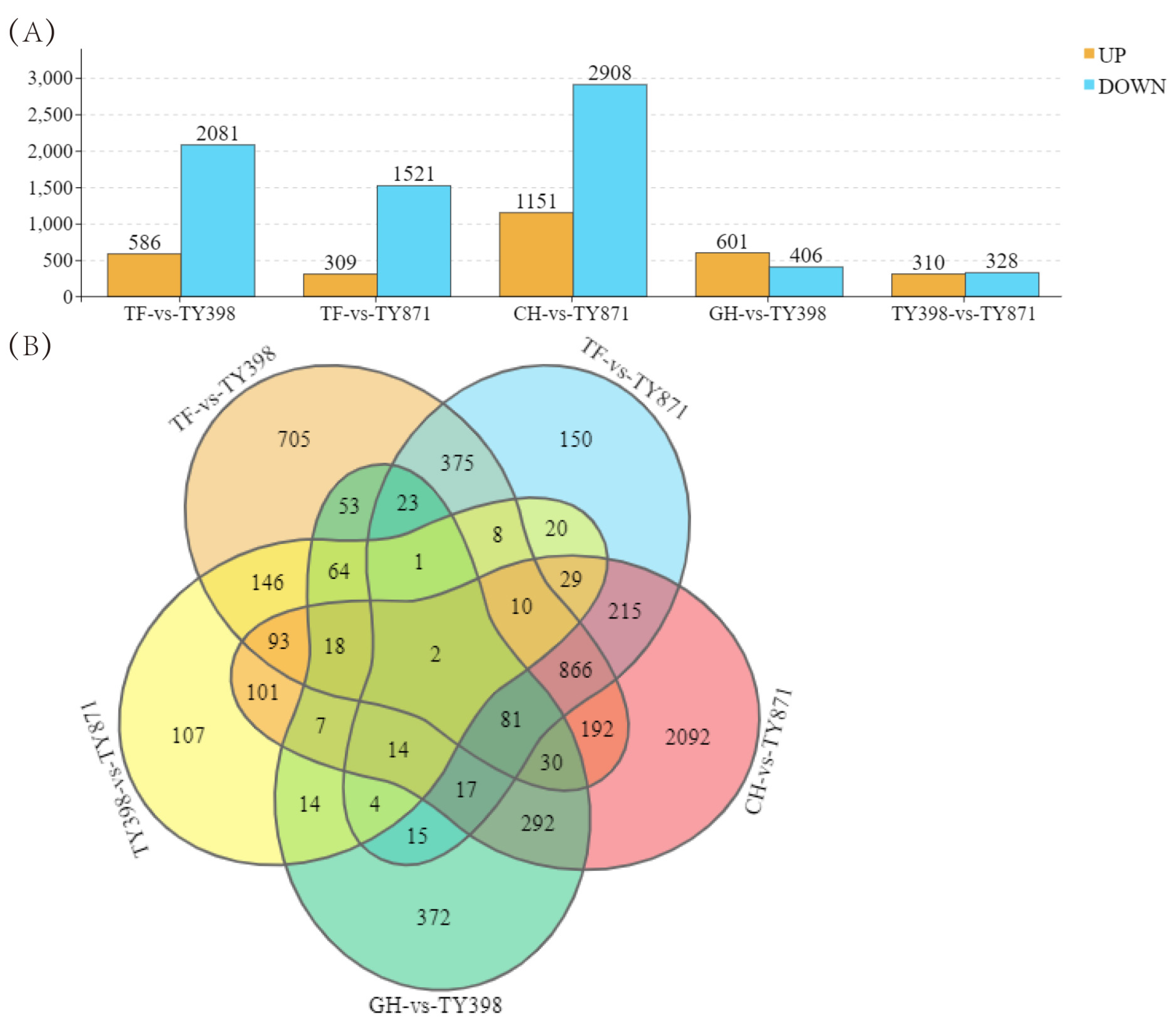 Ijms 23 12934 g002 Ijms 23 12934 g002