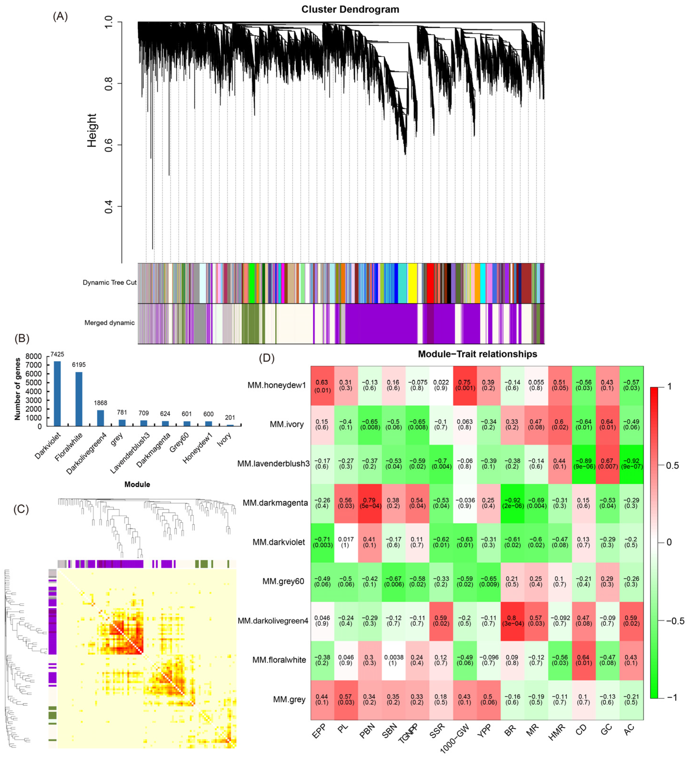 Ijms 23 12934 g003 Ijms 23 12934 g003