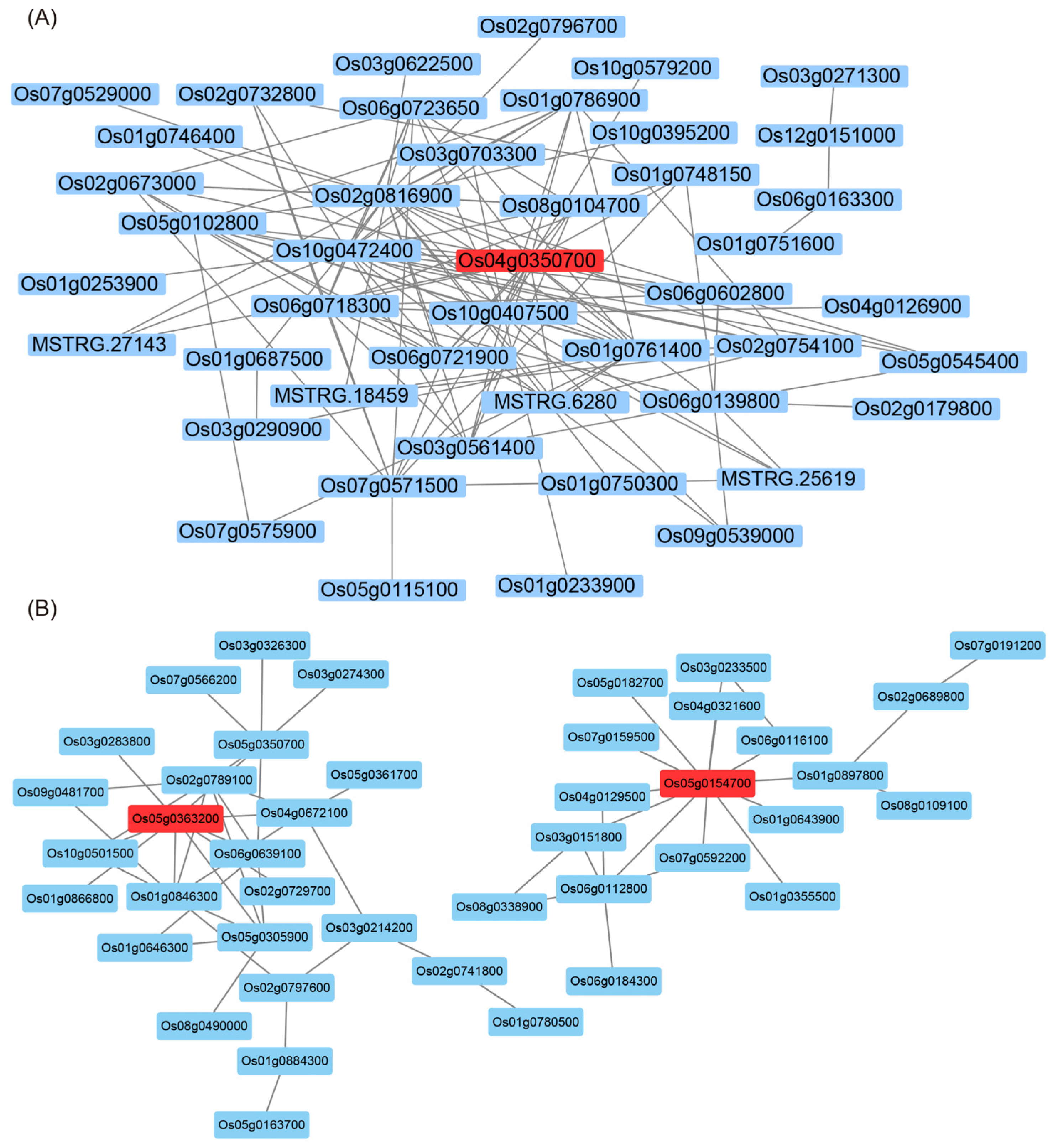 Ijms 23 12934 g004 Ijms 23 12934 g004