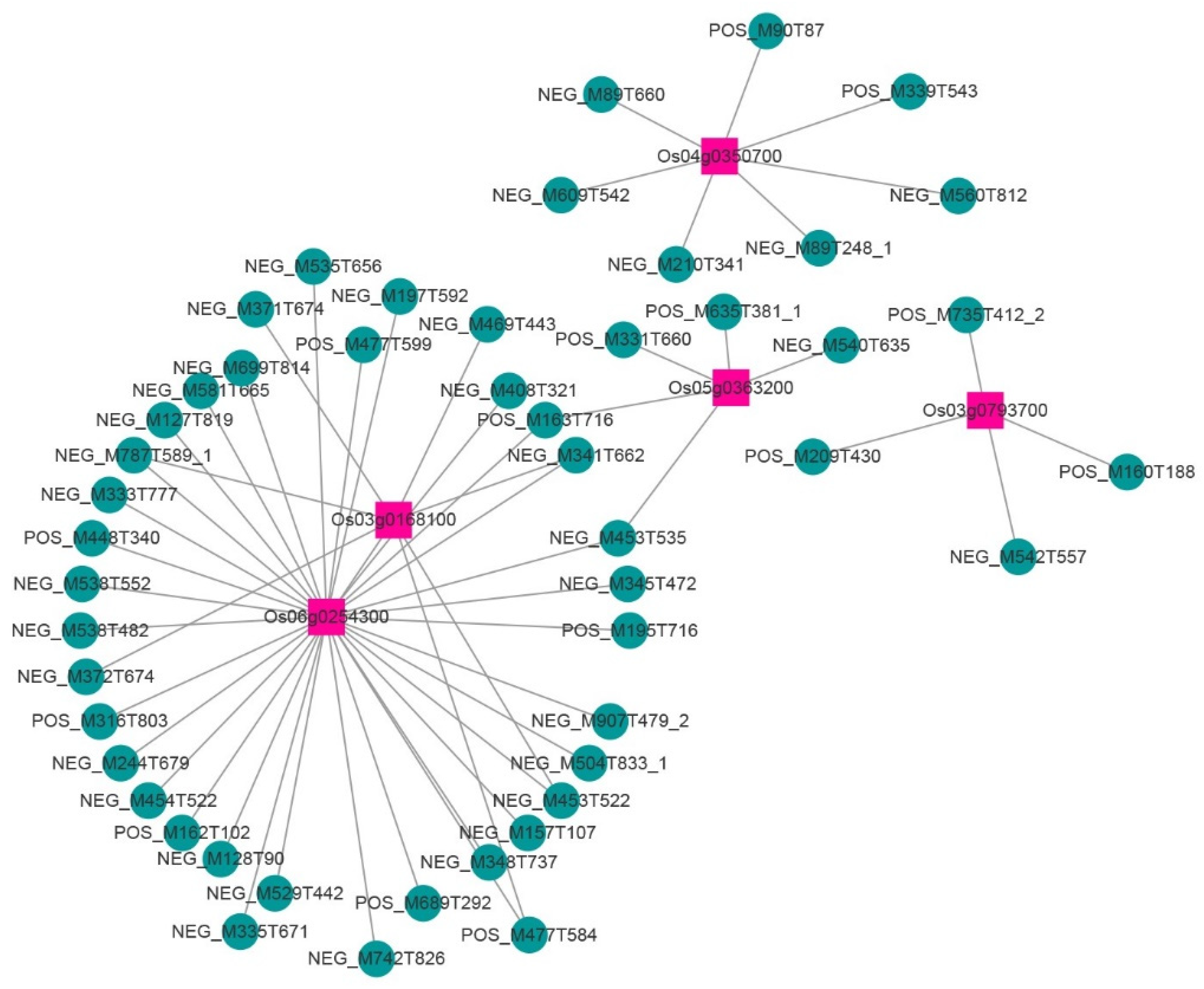 Ijms 23 12934 g005 Ijms 23 12934 g005