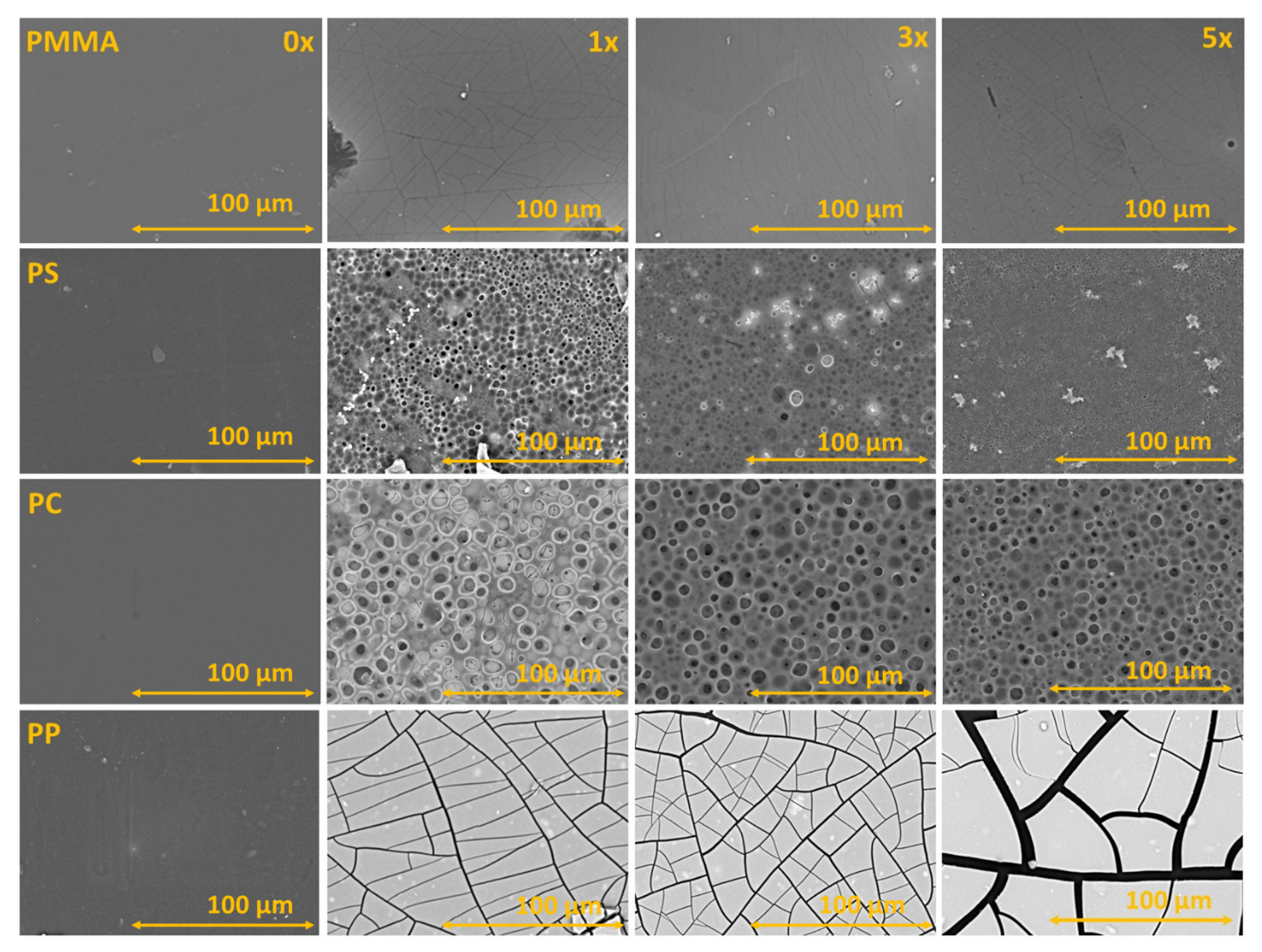 Ijms 23 12936 g004 Ijms 23 12936 g004