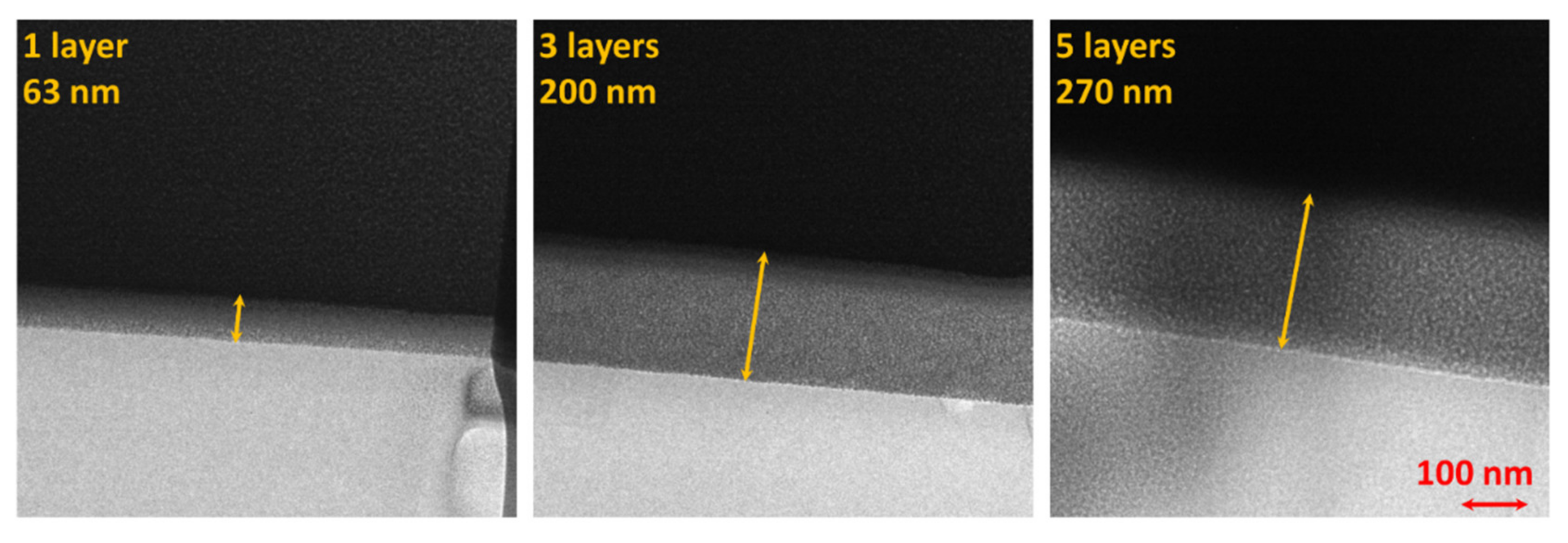 Ijms 23 12936 g005 Ijms 23 12936 g005