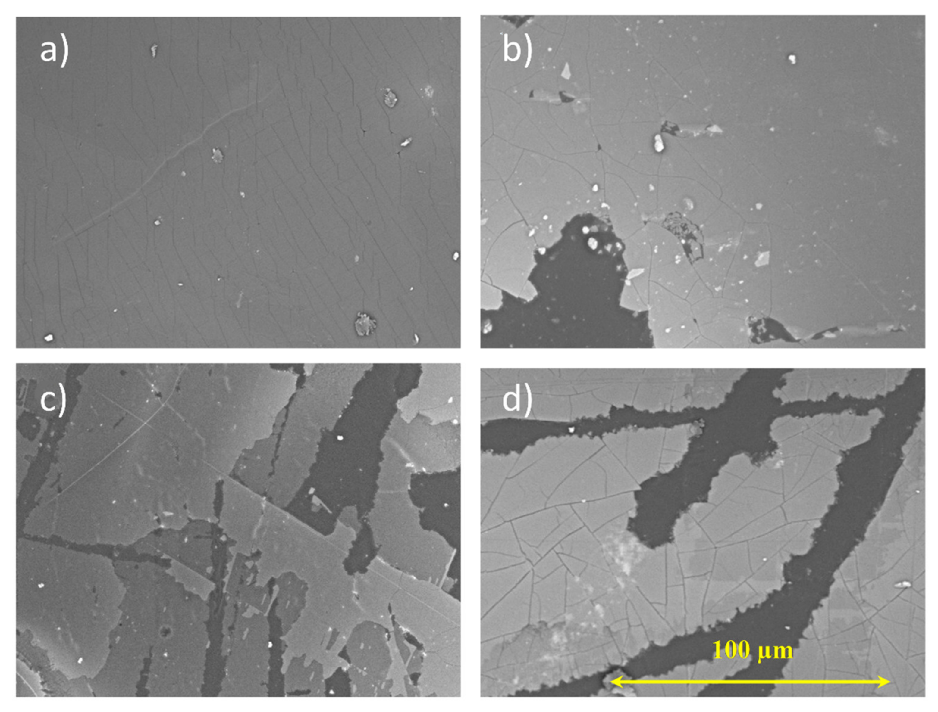 Ijms 23 12936 g007 Ijms 23 12936 g007