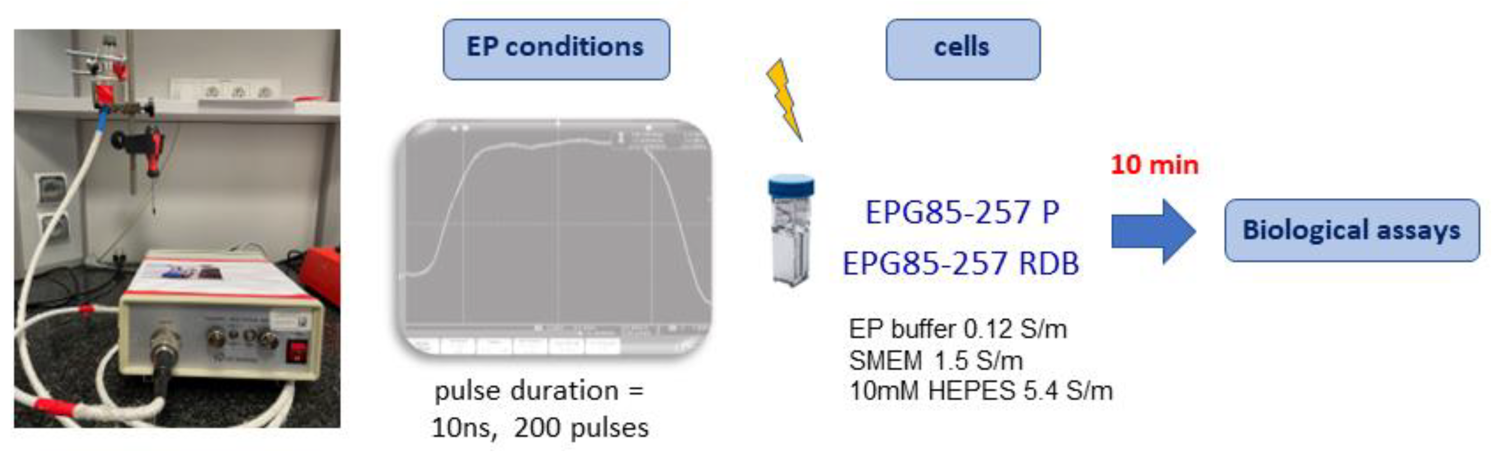 Ijms 23 12943 sch001