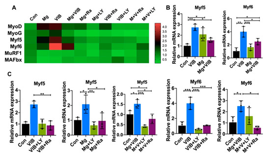 Ijms 23 12944 g007a Ijms 23 12944 g007a